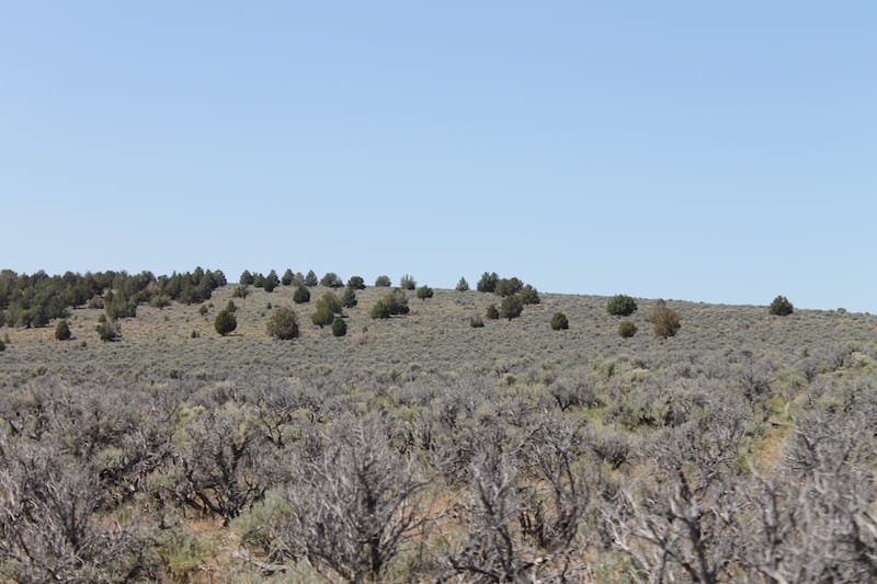 Moon Valley Ranch Tract 331 photo 9