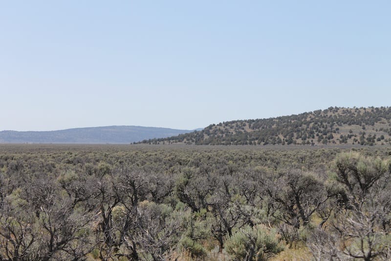 Moon Valley Ranch Tract 331 photo 10