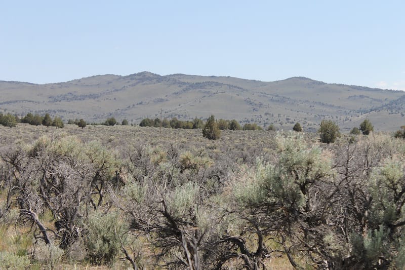 Moon Valley Ranch Tract 331 photo 11