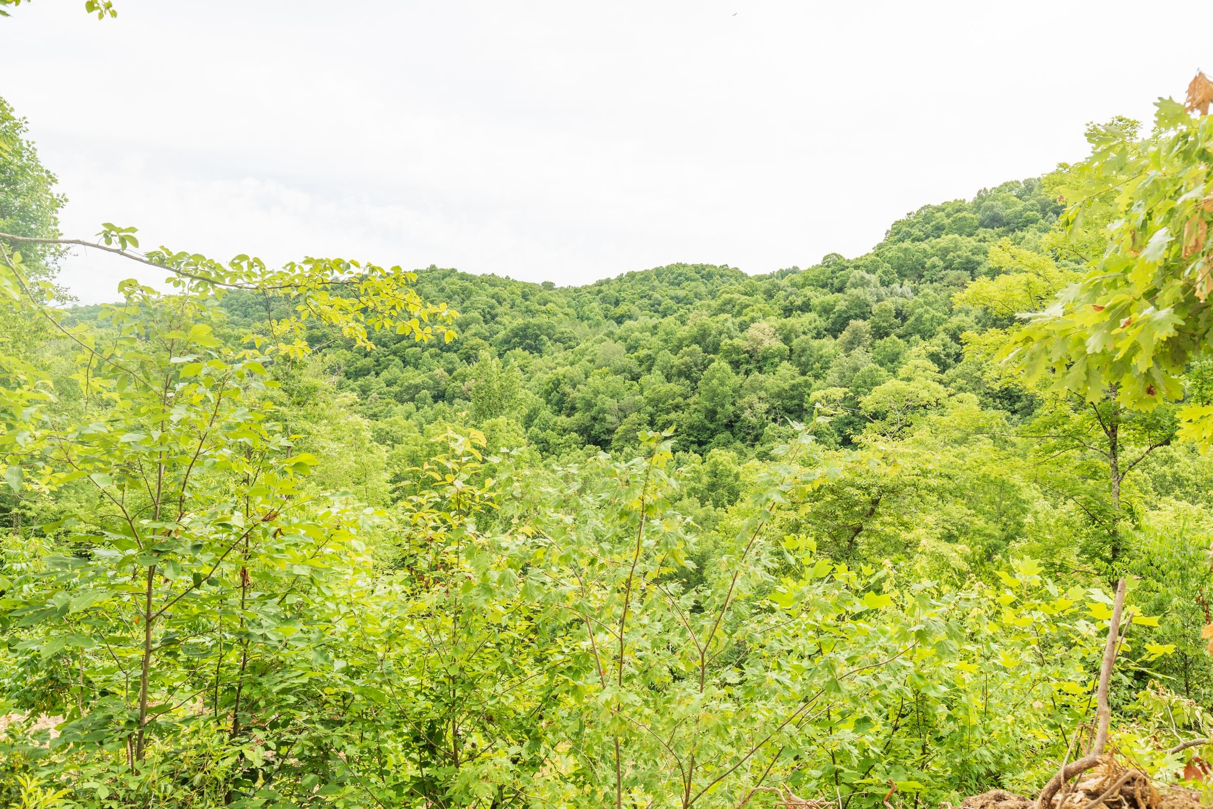 River’s Edge Tract 9 photo 8