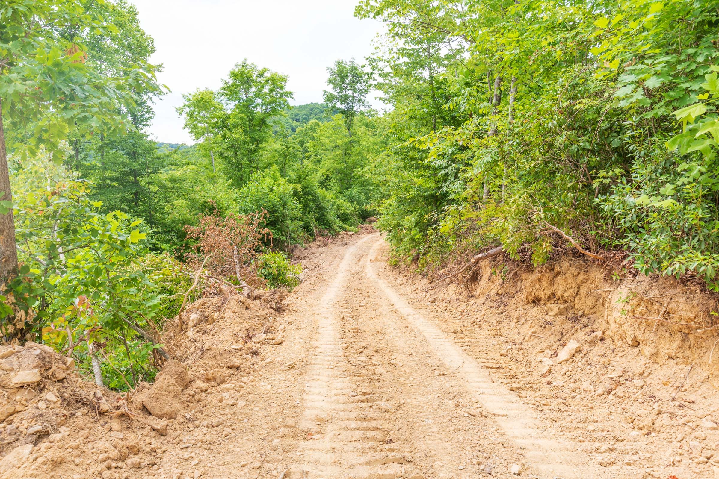 River’s Edge Tract 9 photo 4