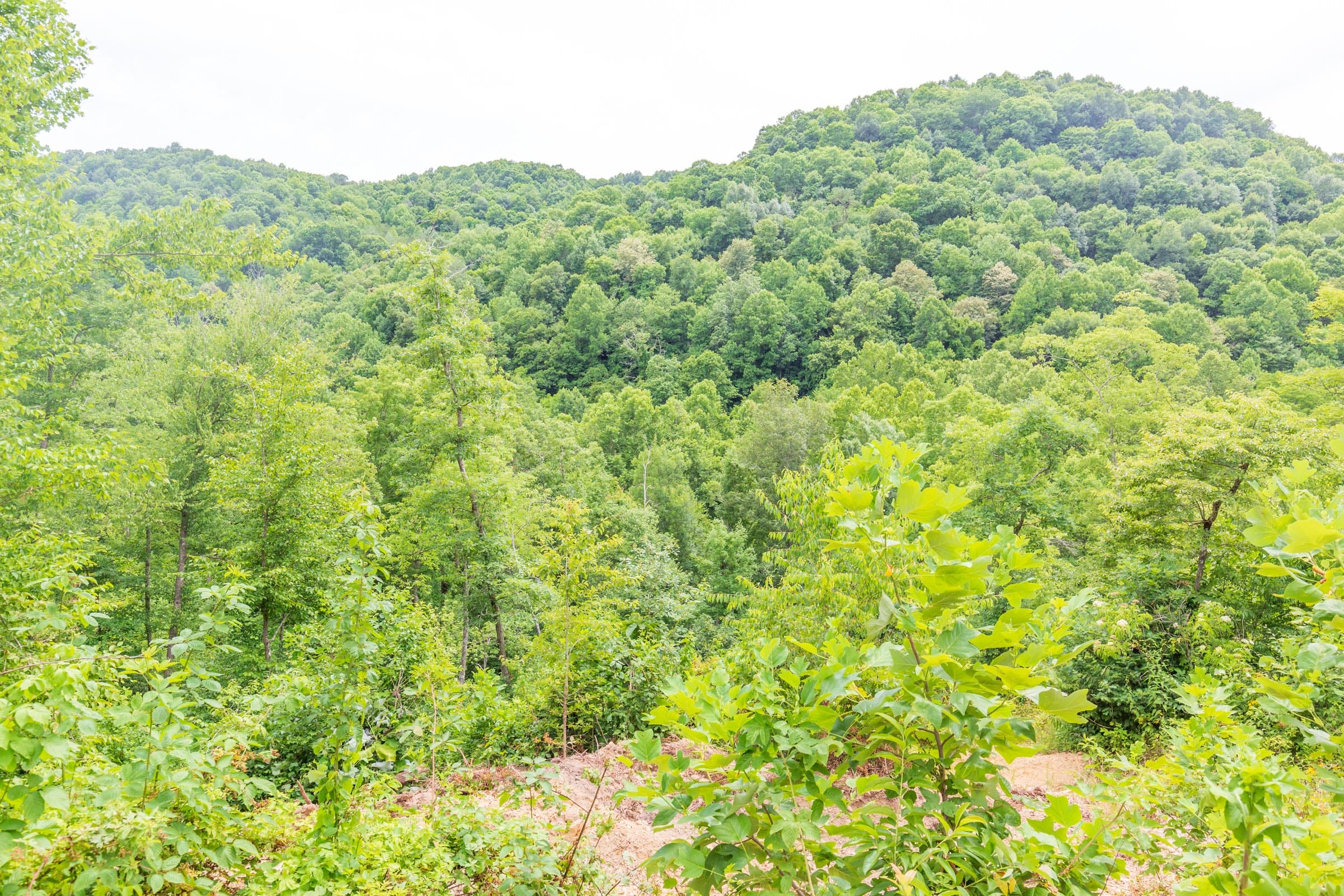 River’s Edge Tract 9 photo 9