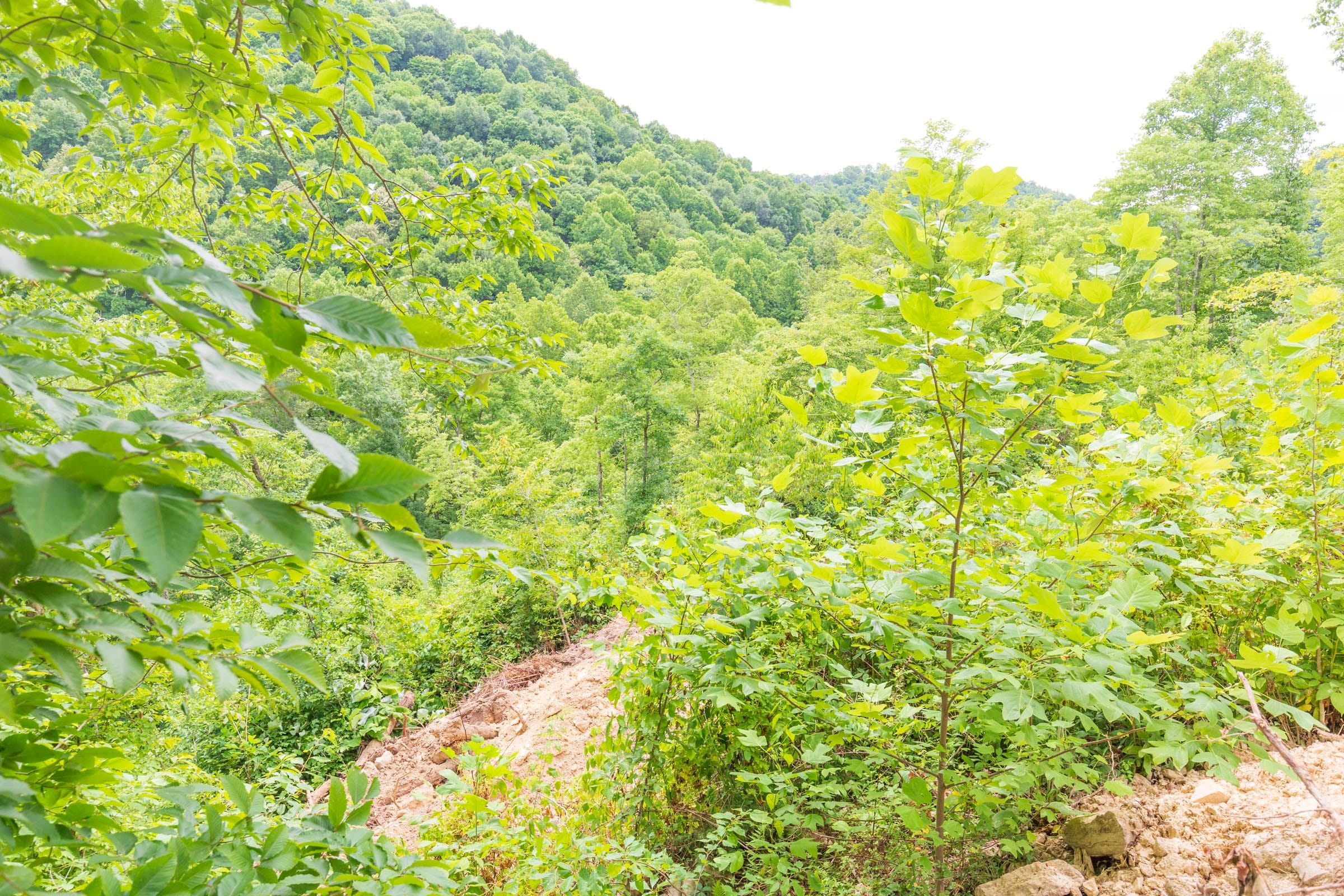 River’s Edge Tract 9 photo 11