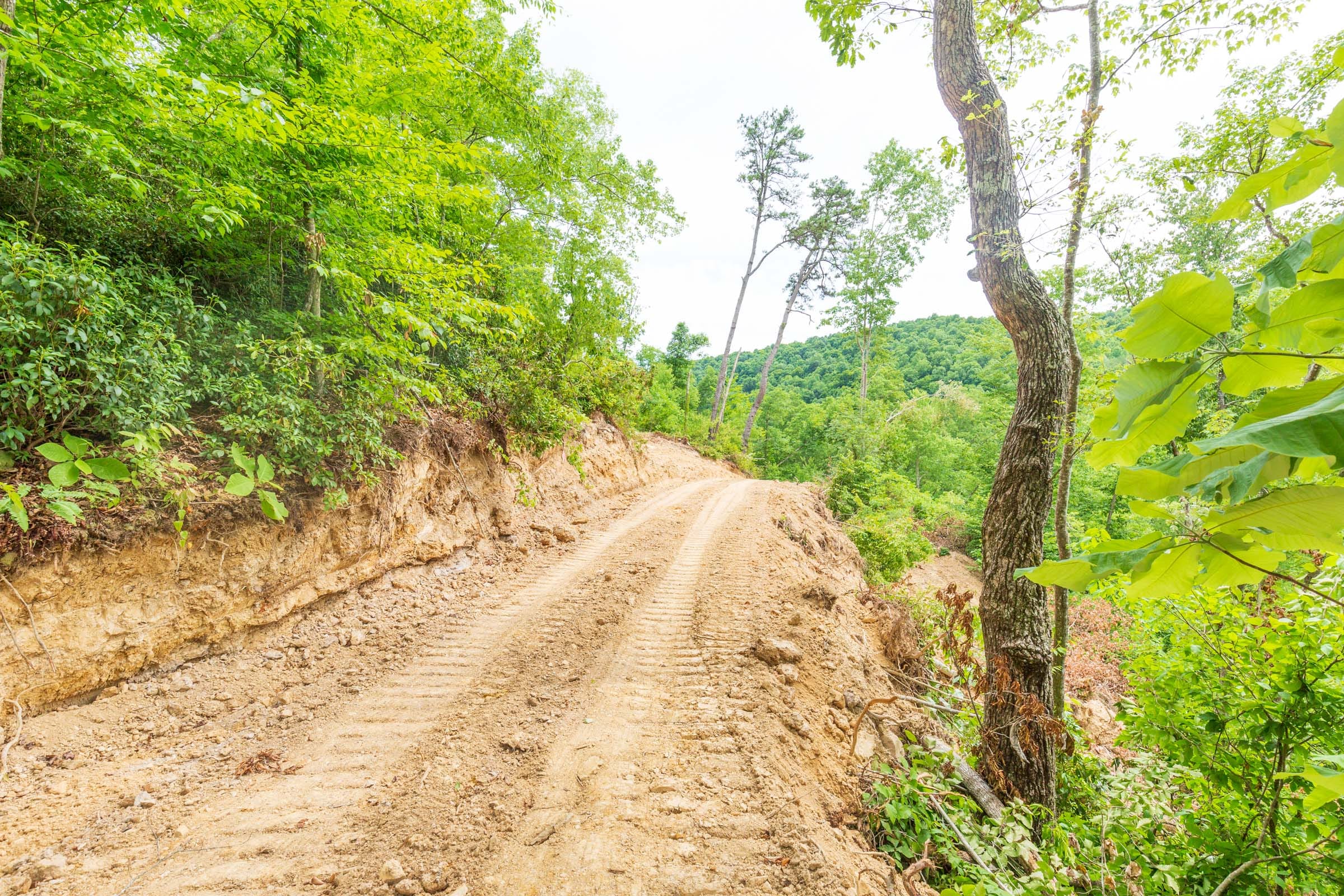 River’s Edge Tract 9 photo 13