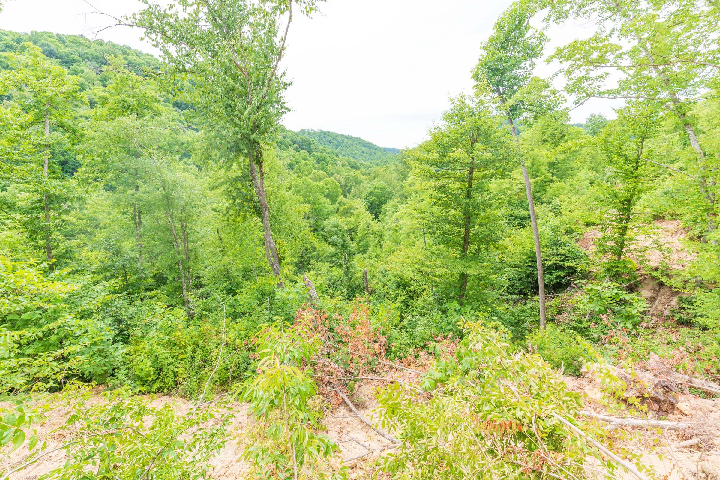 River’s Edge Tract 9 photo 14