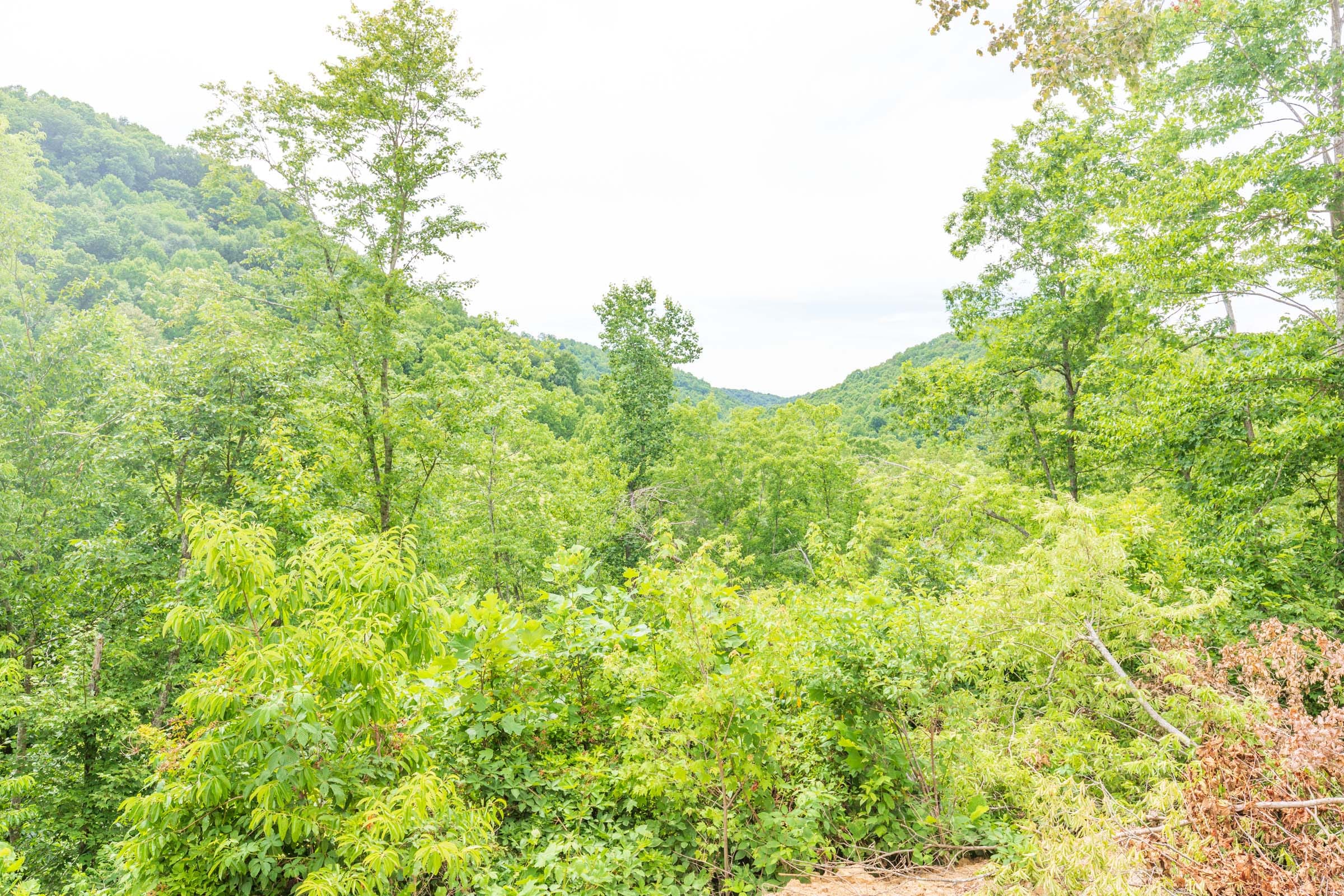 River’s Edge Tract 9 photo 18