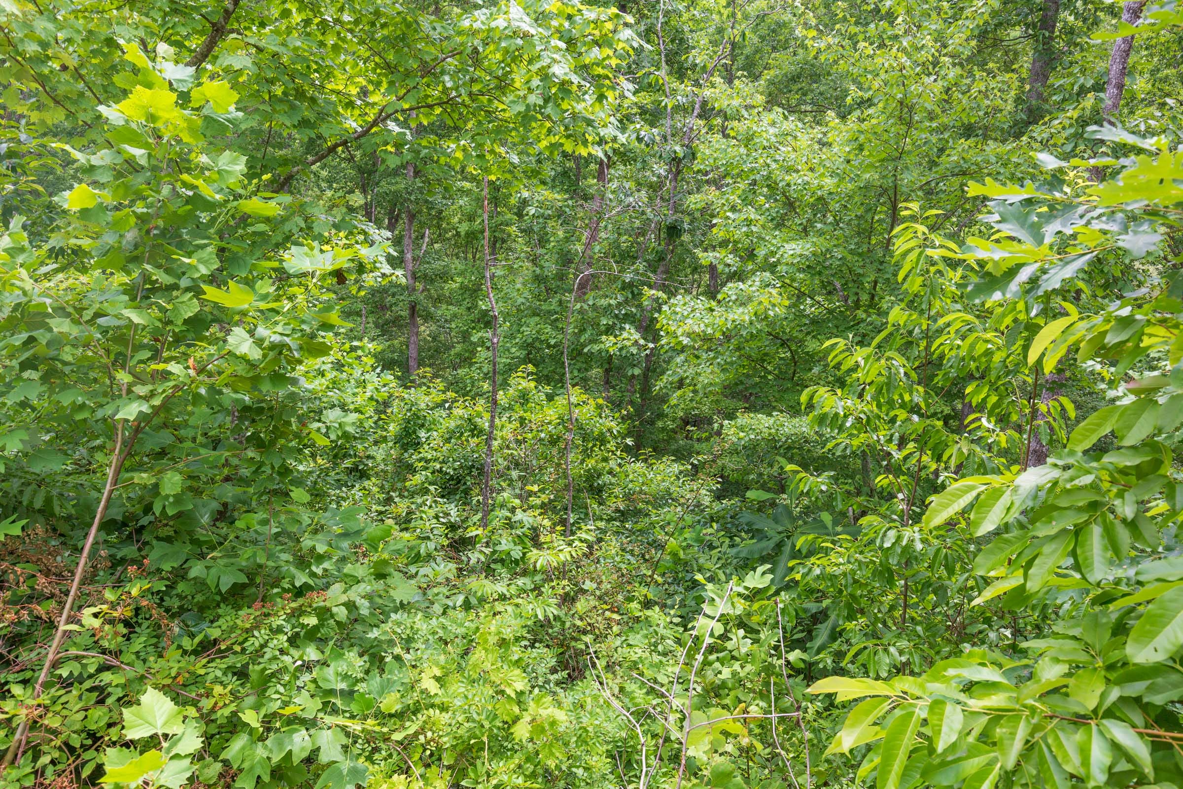 River’s Edge Tract 9 photo 12