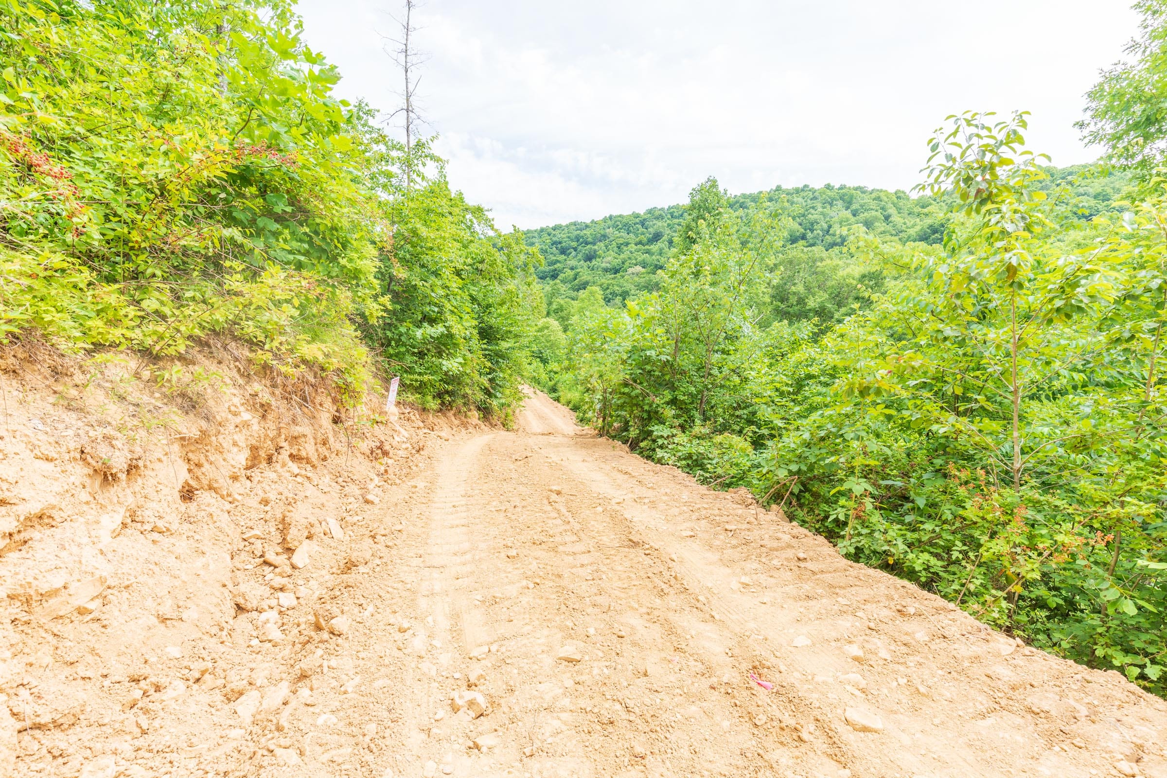 River’s Edge Tract 9 photo 19