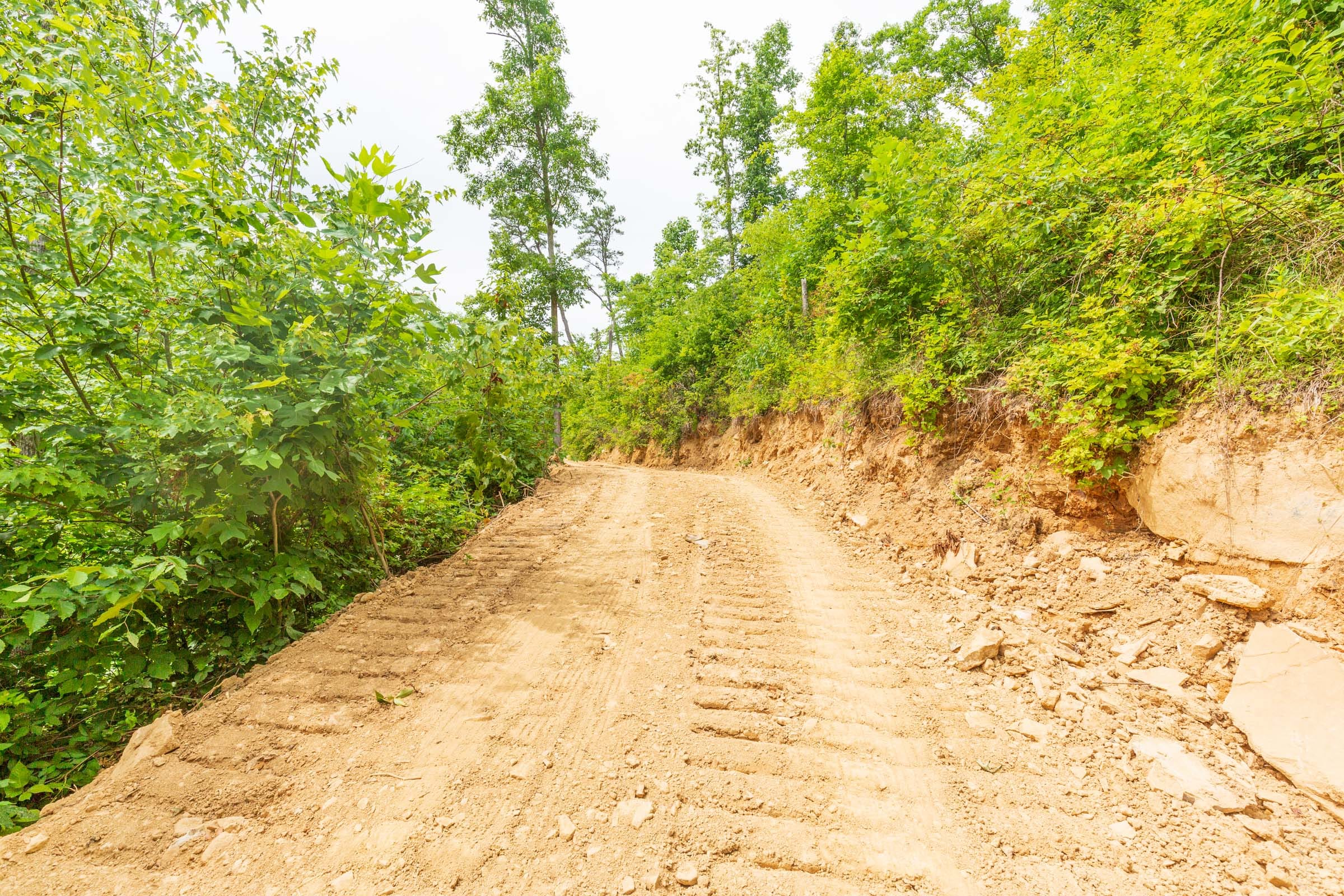 River’s Edge Tract 9 photo 10