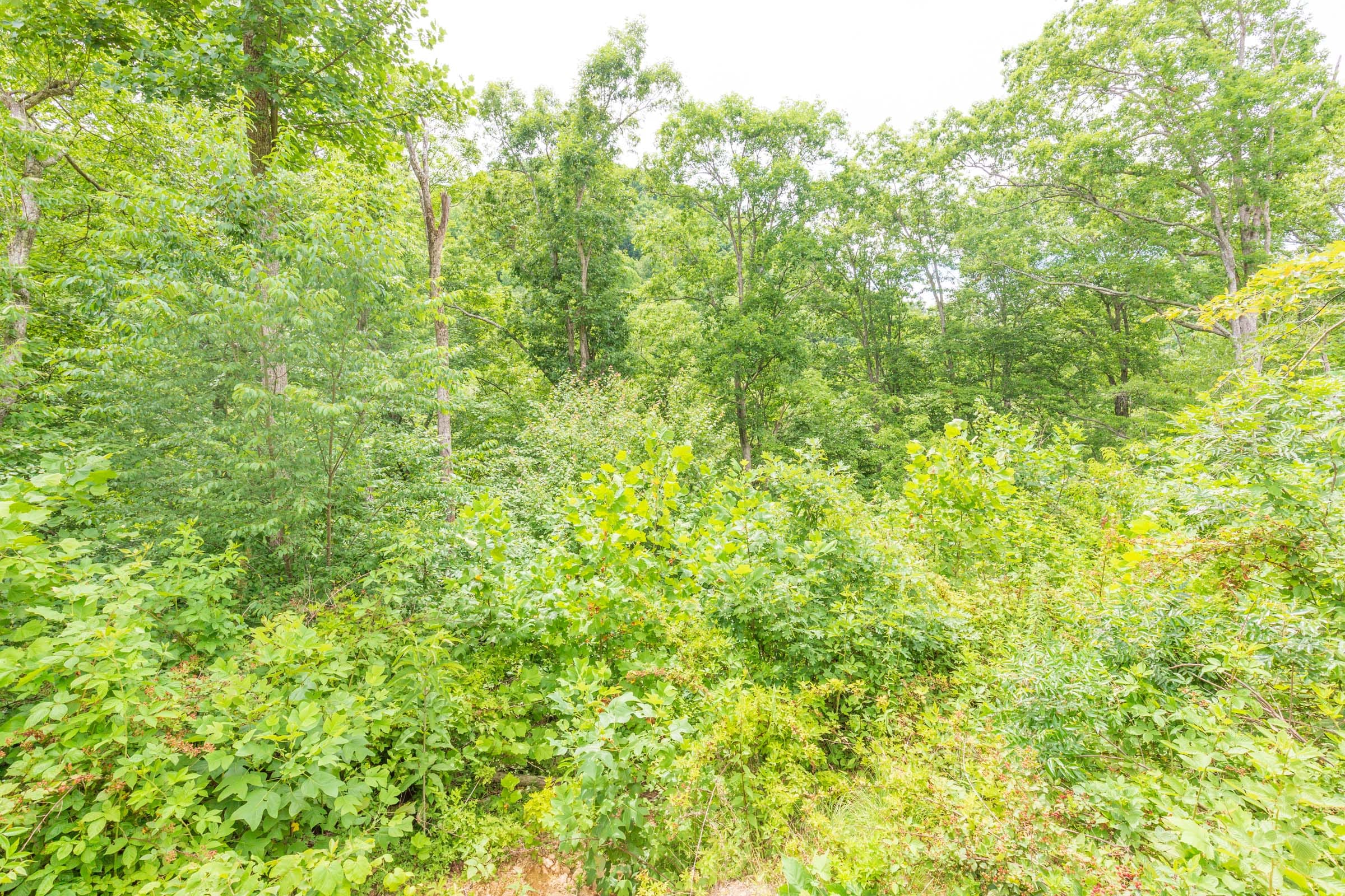 River’s Edge Tract 9 photo 20