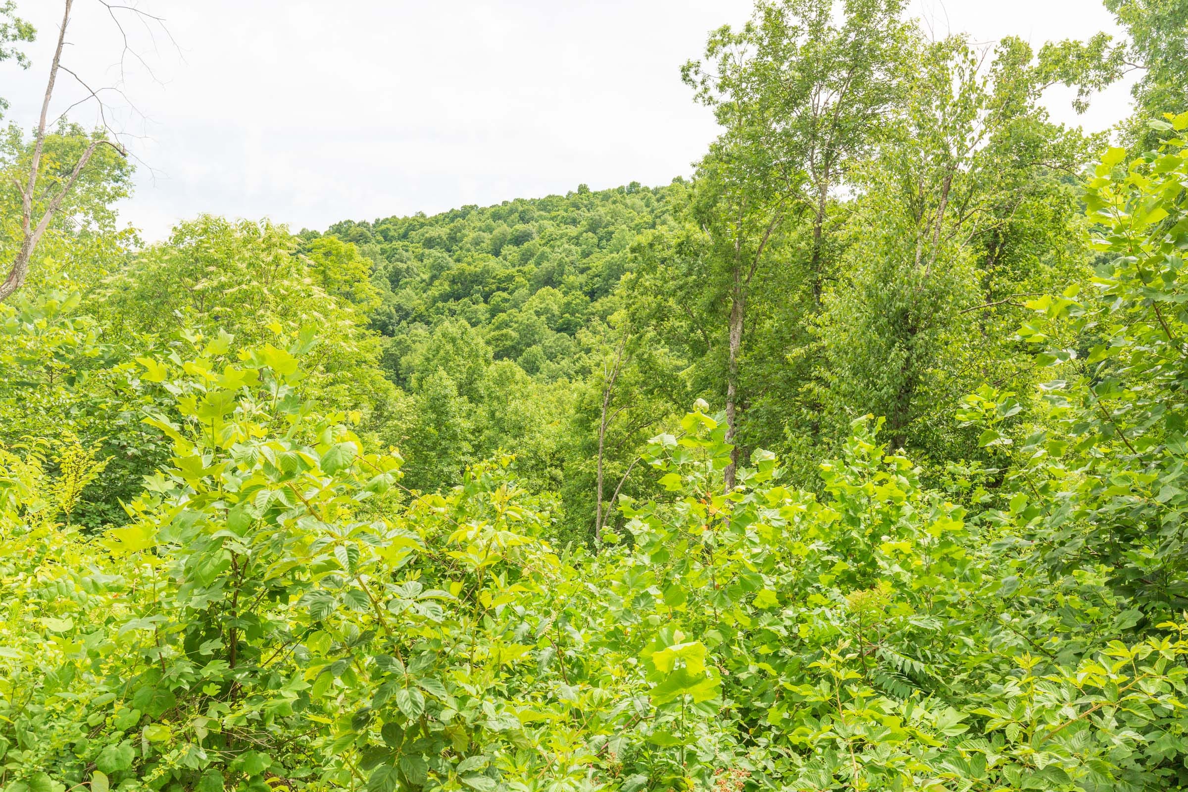 River’s Edge Tract 9 photo 21