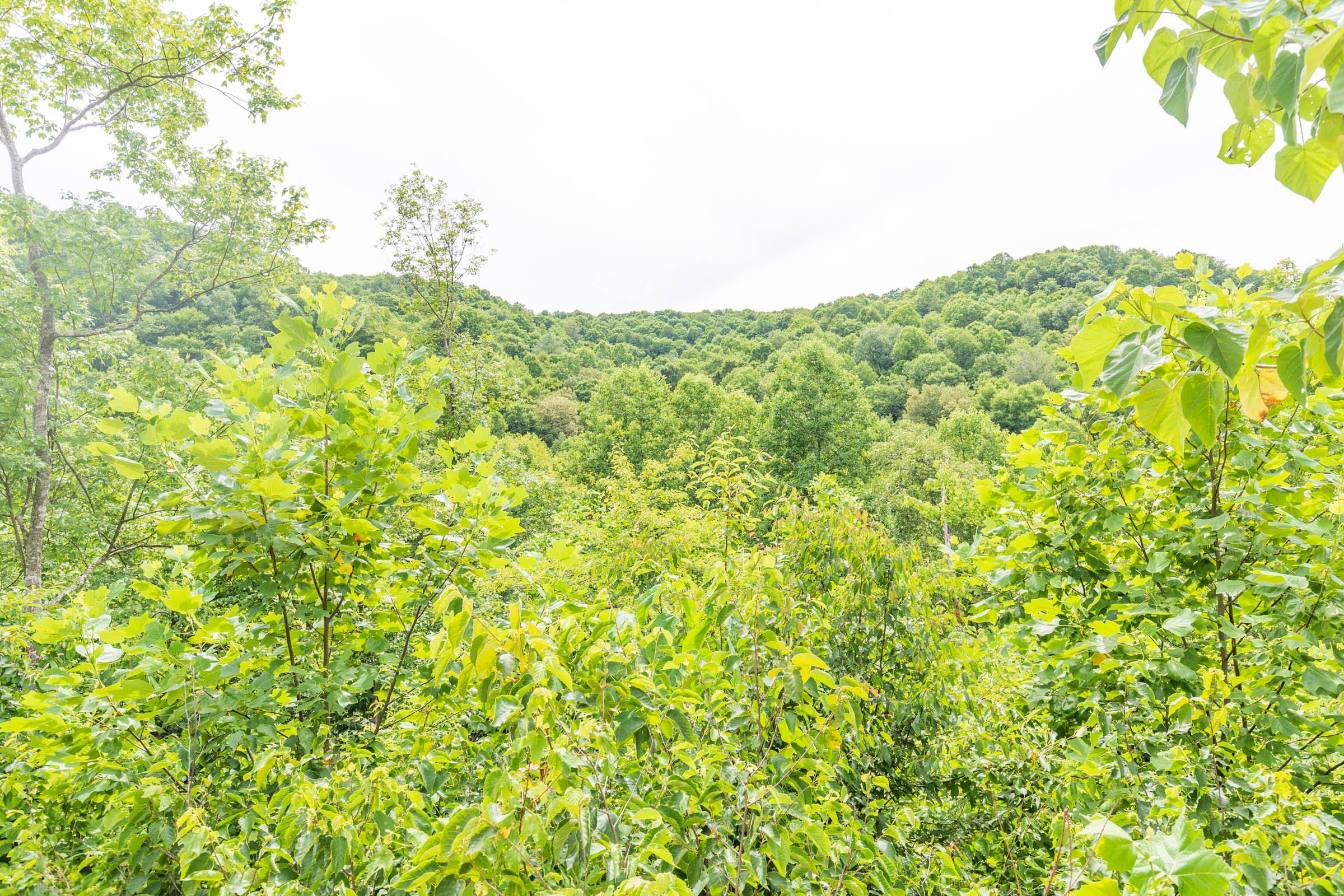 River’s Edge Tract 9 photo 17