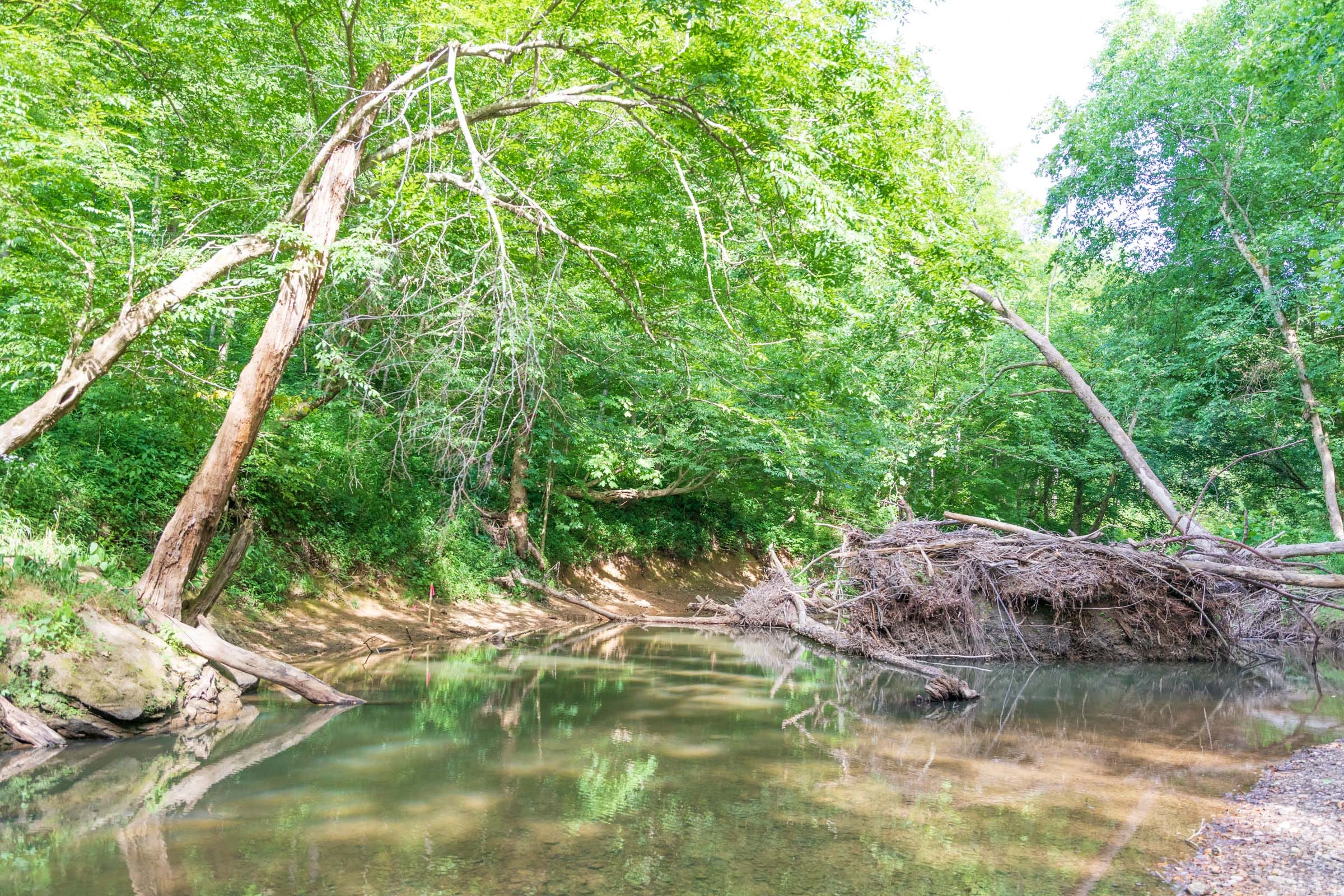 River’s Edge Tract 9 photo 2
