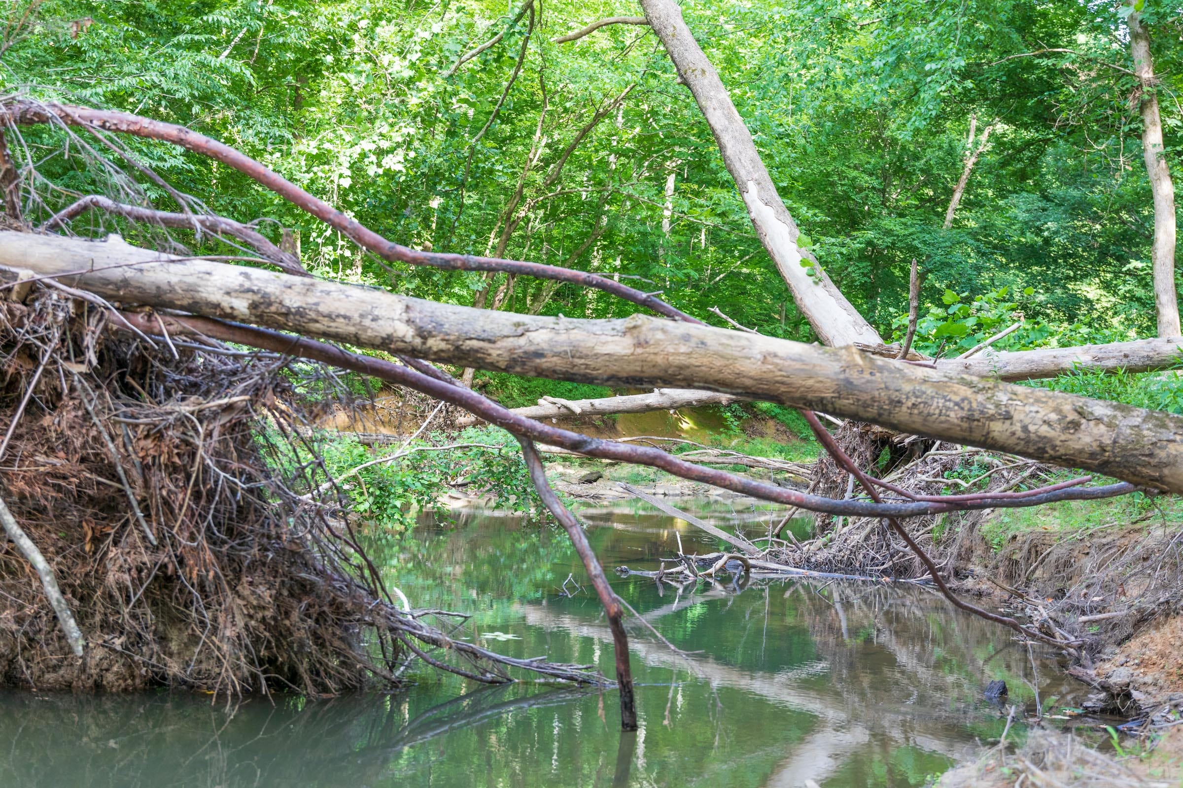 River’s Edge Tract 9 photo 3