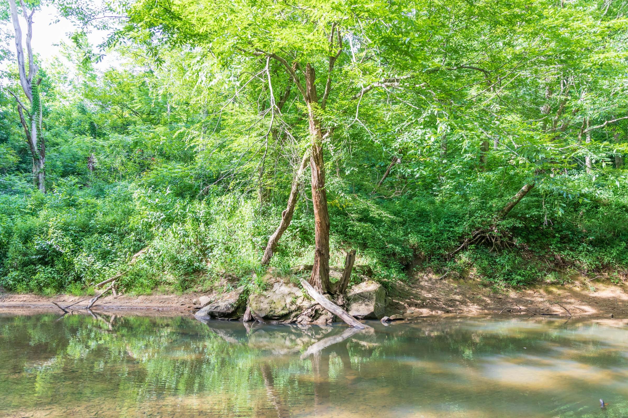 River’s Edge Tract 9 photo 22