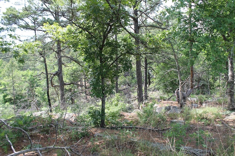 Indian Ridge – Phase II Tract 76 photo 2