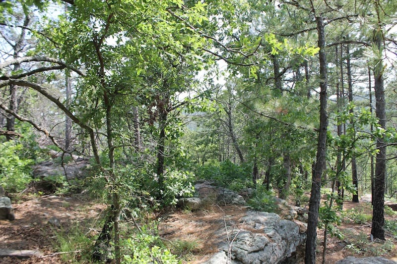 Indian Ridge – Phase II Tract 76 photo 3