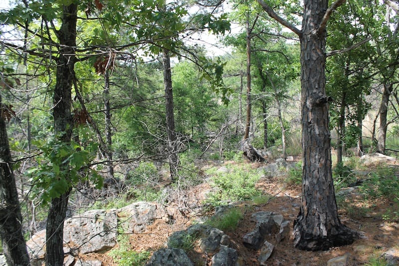 Indian Ridge – Phase II Tract 76 photo 5