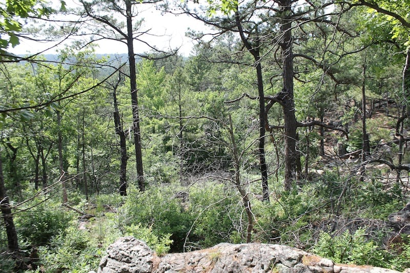 Indian Ridge – Phase II Tract 76 photo 6
