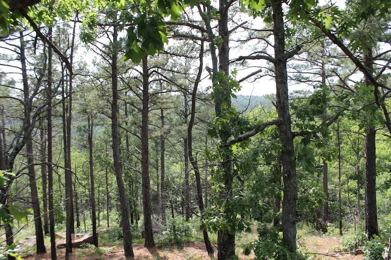 Indian Ridge – Phase II Tract 76 photo 7