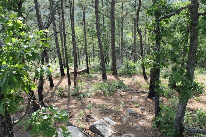 Indian Ridge – Phase II Tract 76 photo 8