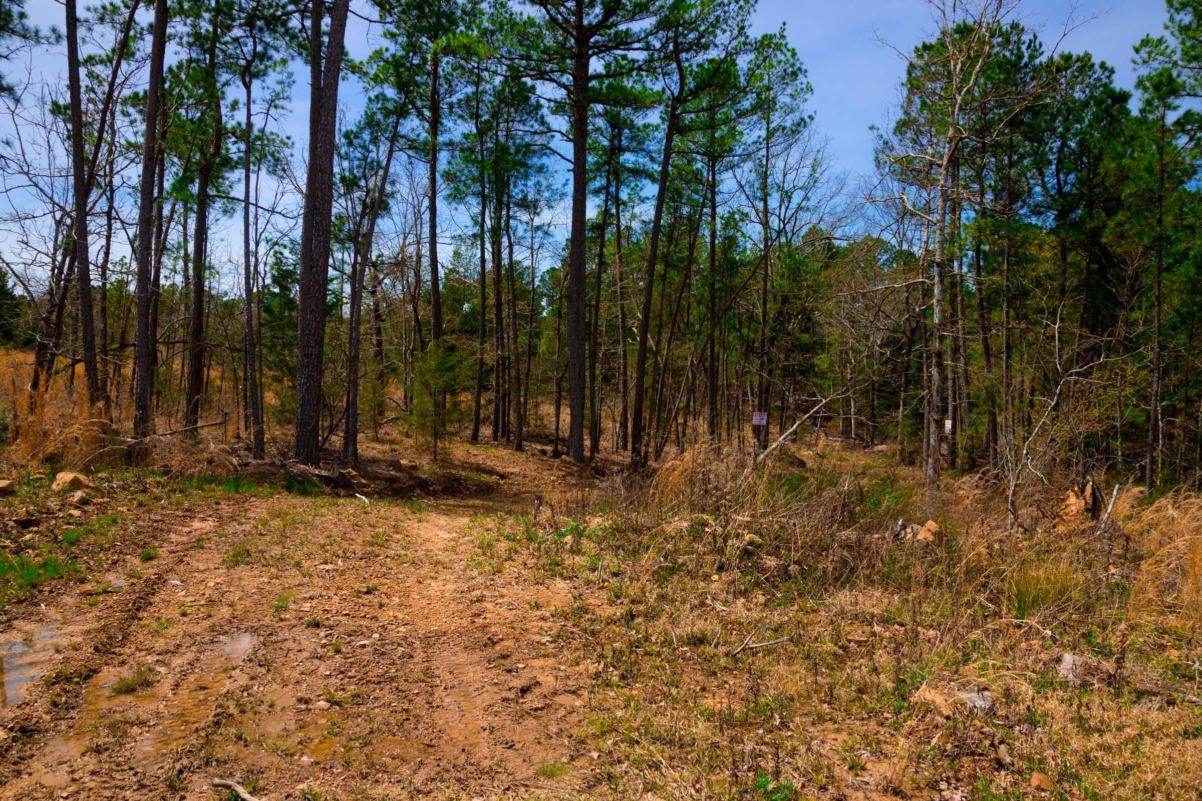 Stone Creek Phase II Tract 209 photo 8
