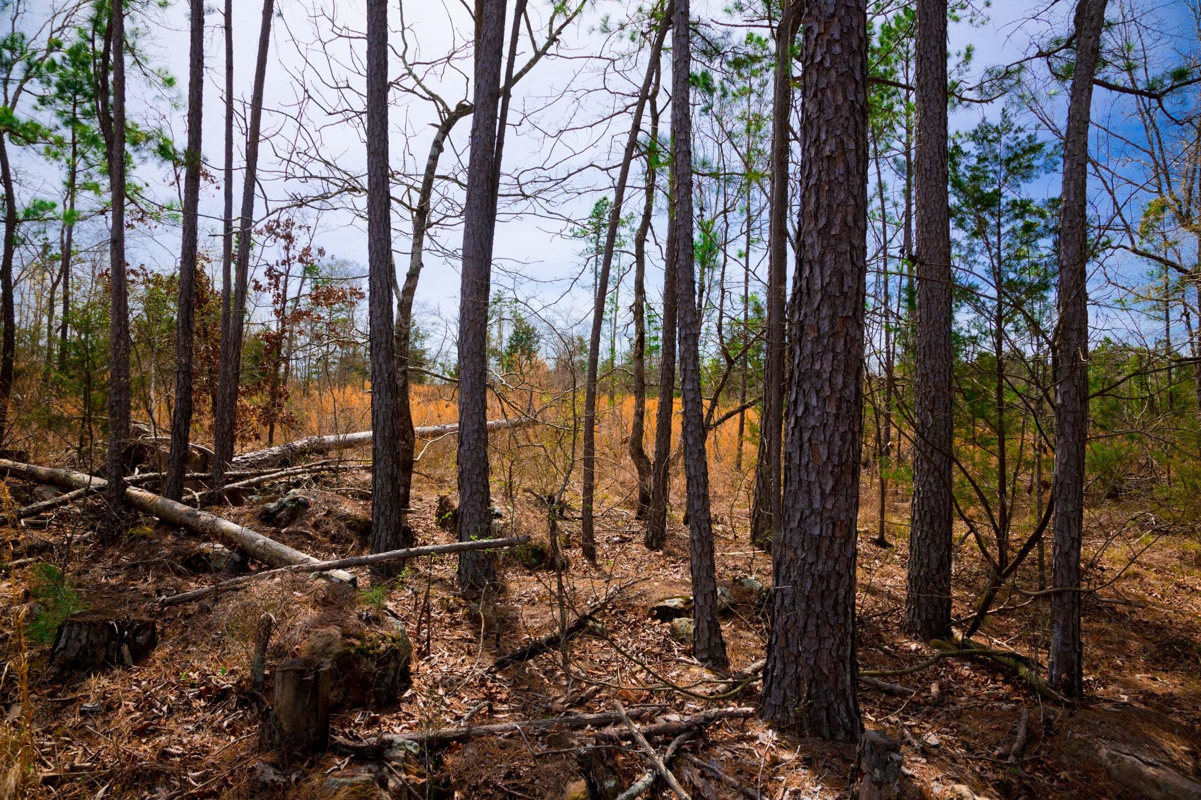 Stone Creek Phase II Tract 209 photo 9
