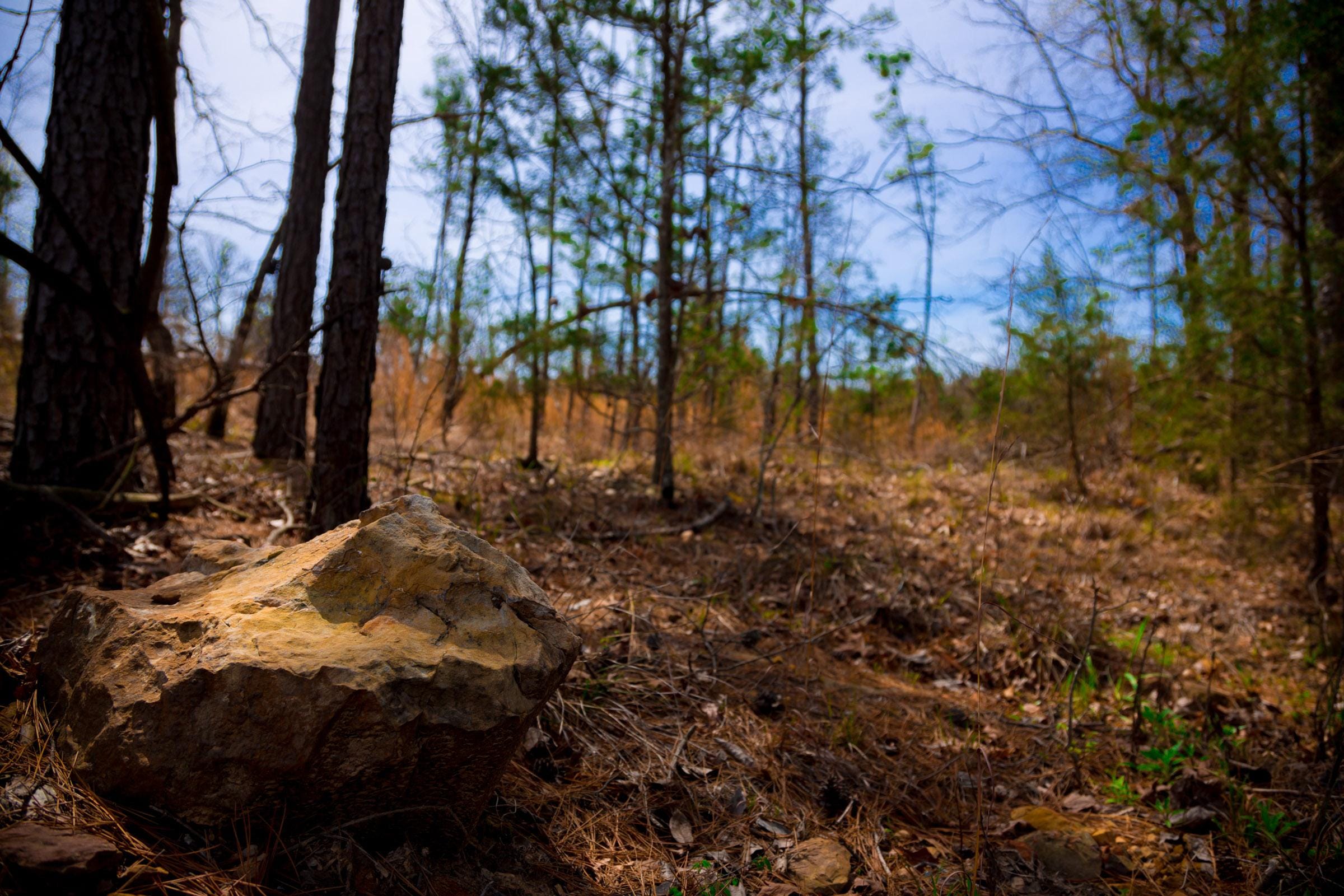Stone Creek Phase II Tract 209 photo 10