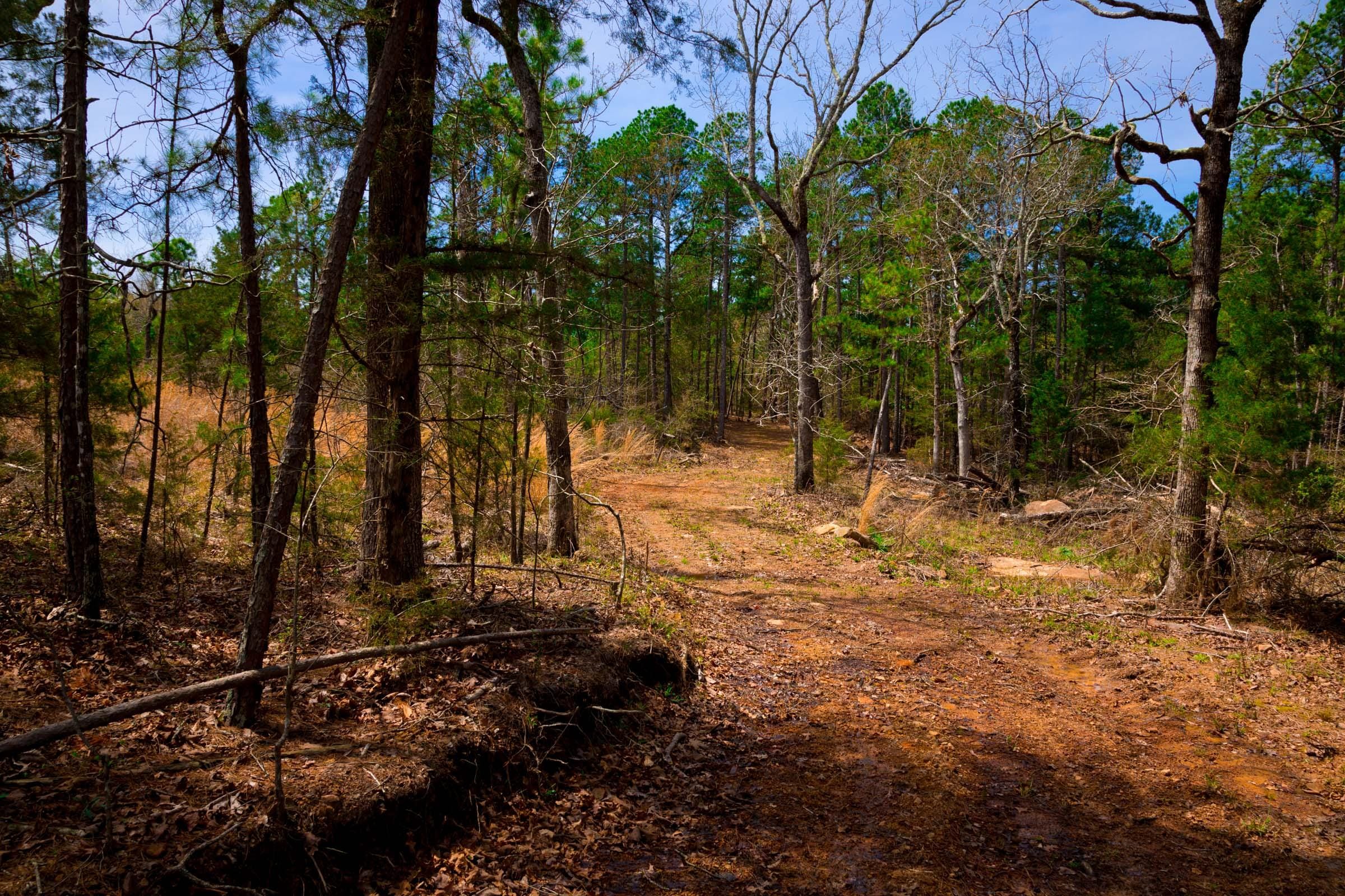 Stone Creek Phase II Tract 209 photo 2