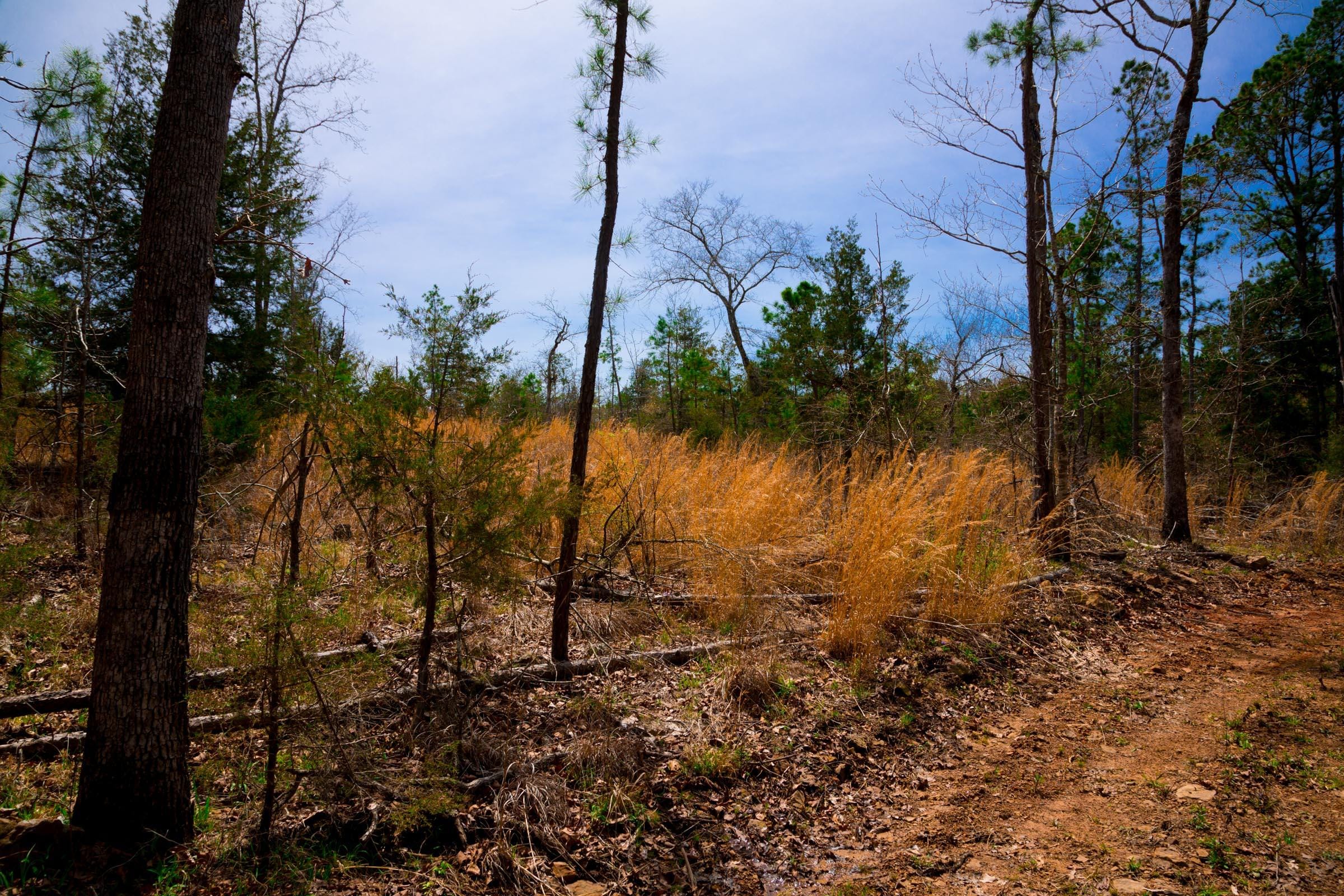 Stone Creek Phase II Tract 209 photo 12