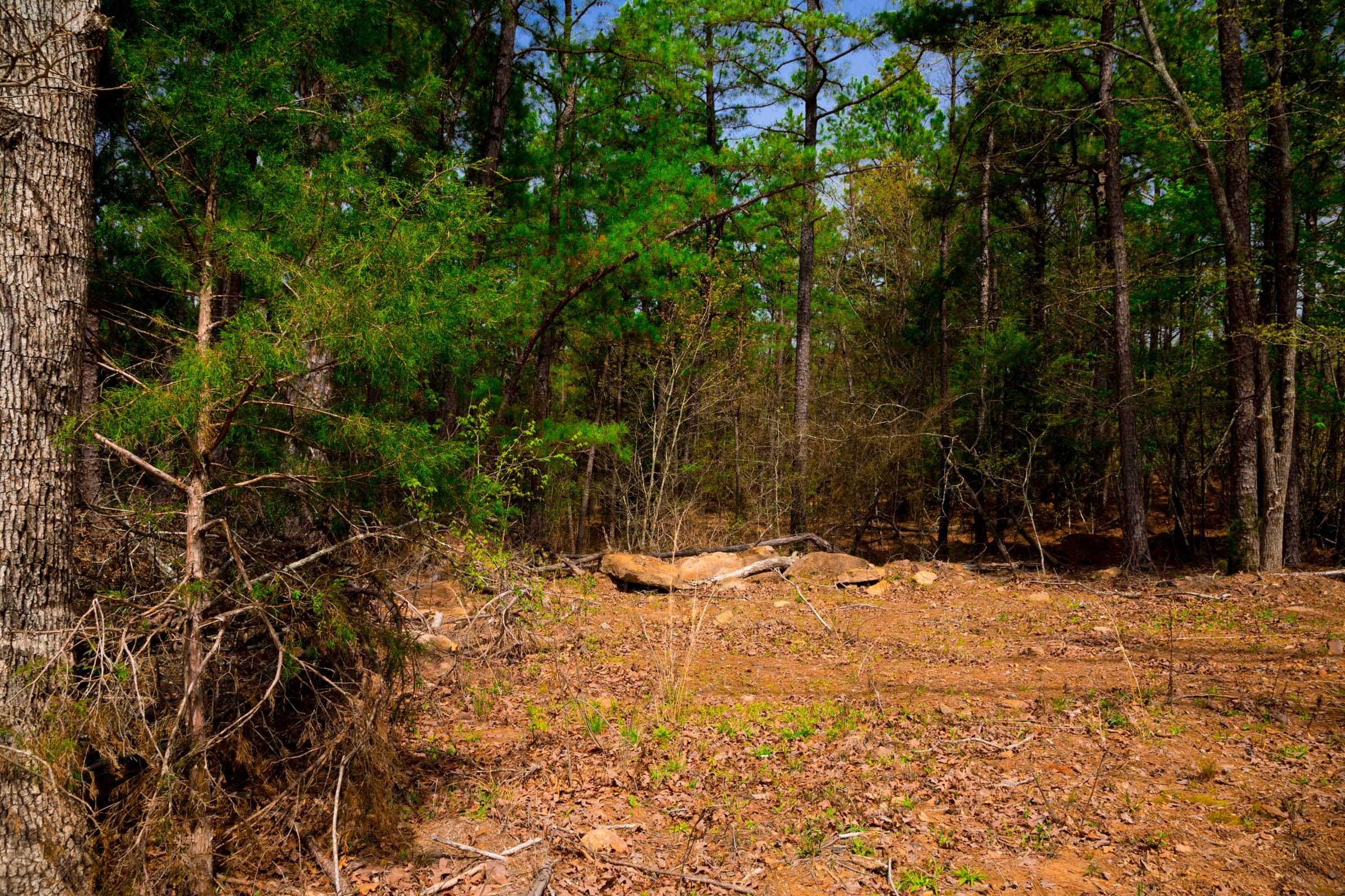 Stone Creek Phase II Tract 209 photo 13
