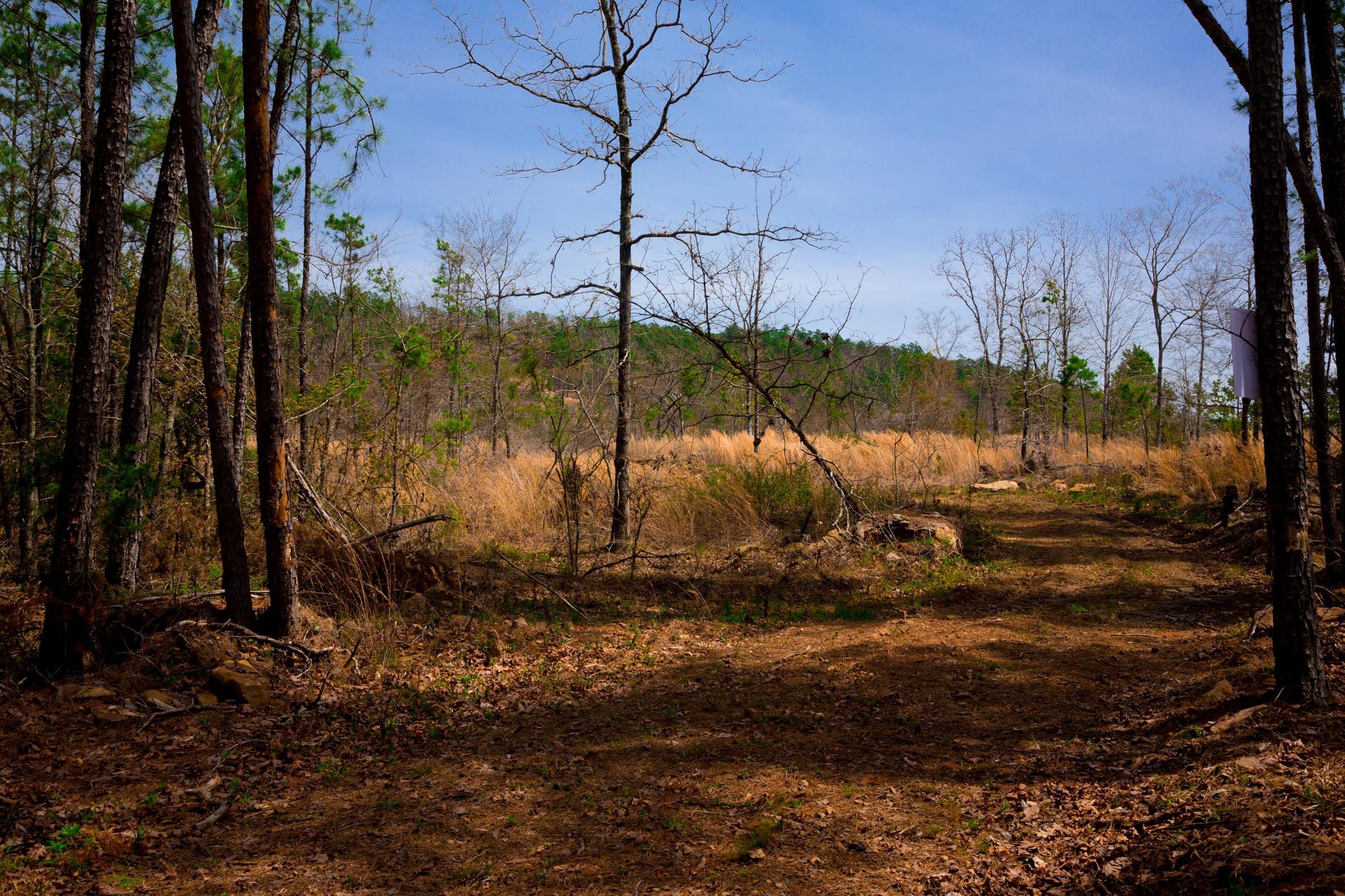 Stone Creek Phase II Tract 209 photo 14