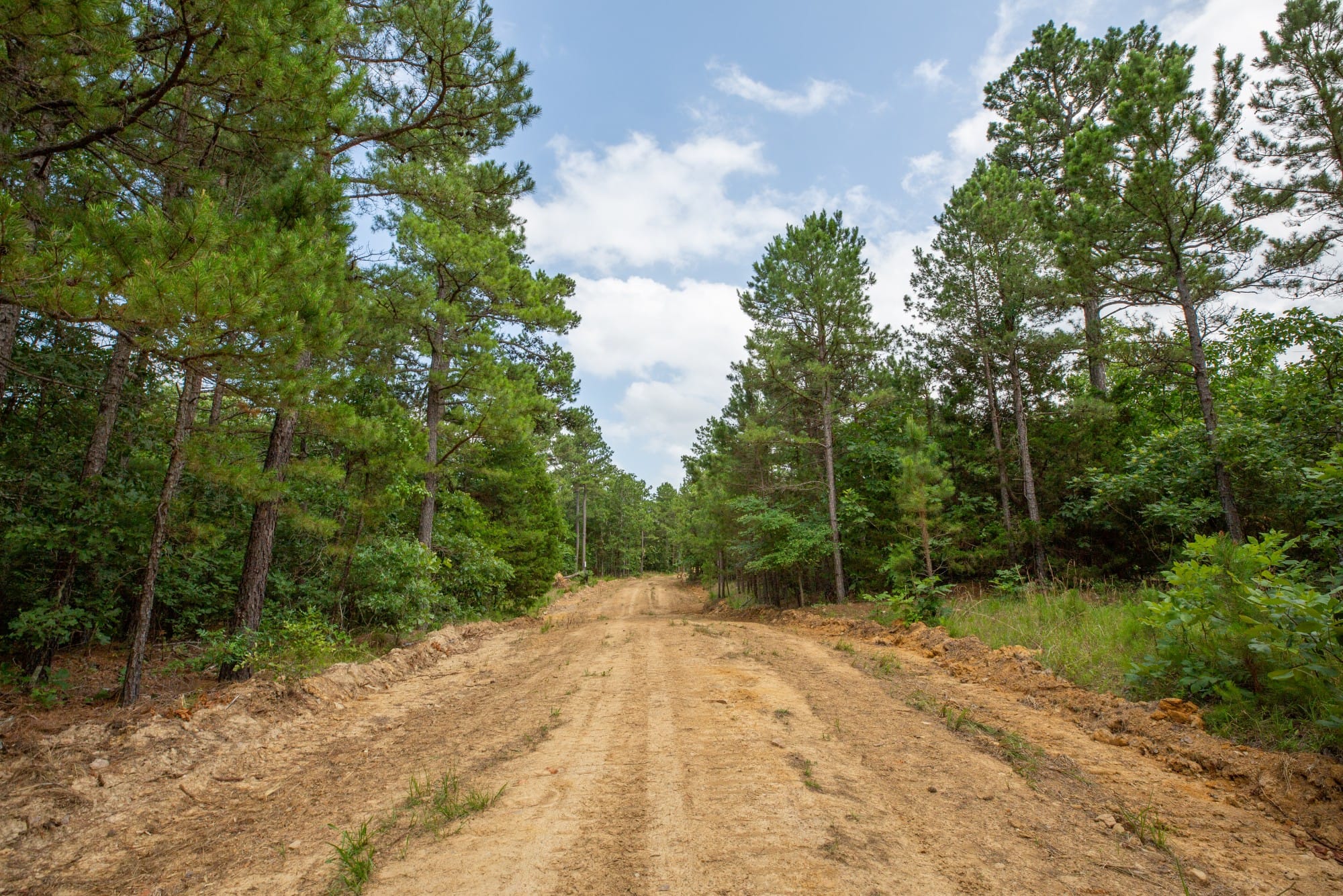 Eagle’s Nest Tract 44 photo 1