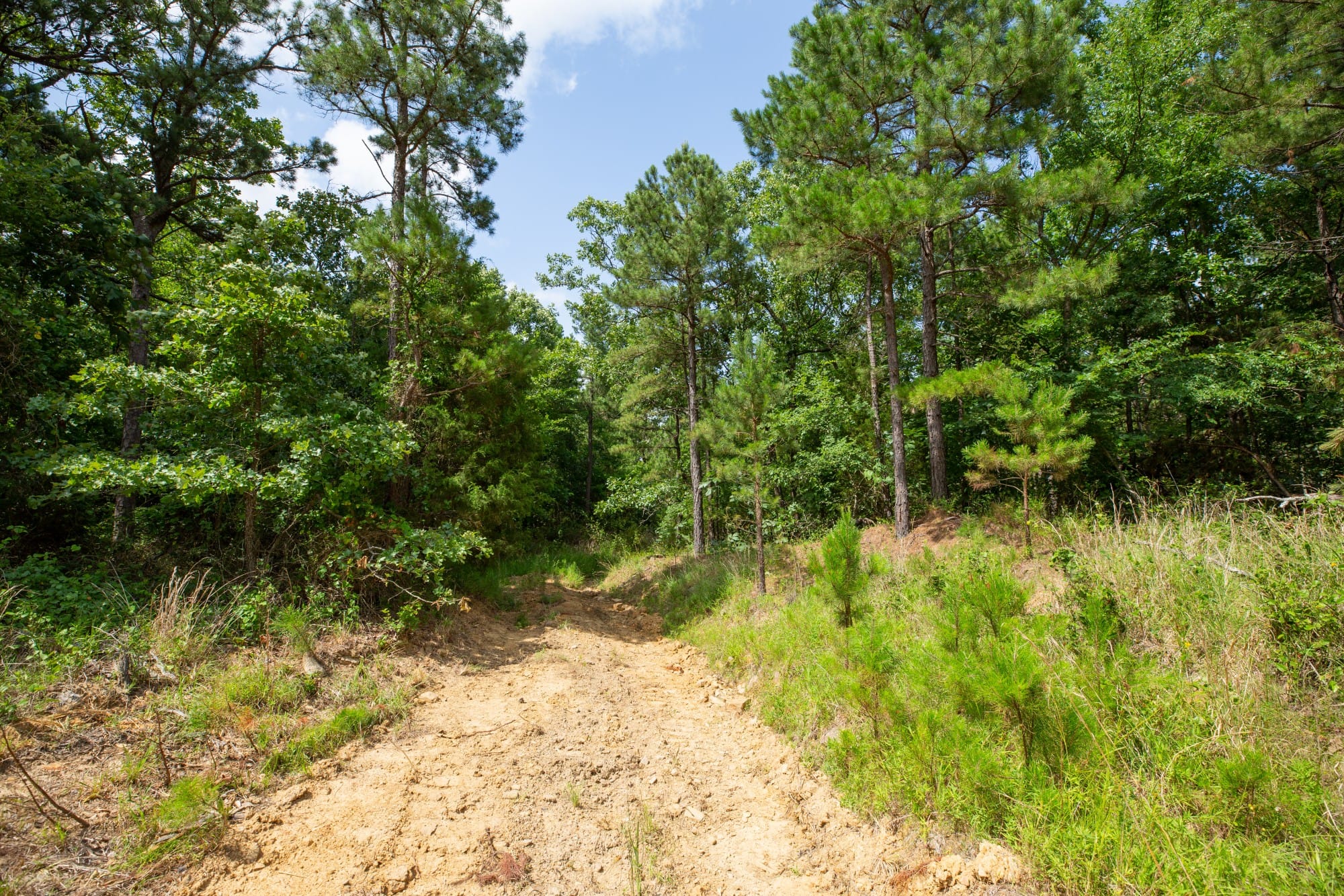 Eagle’s Nest Tract 44 photo 4
