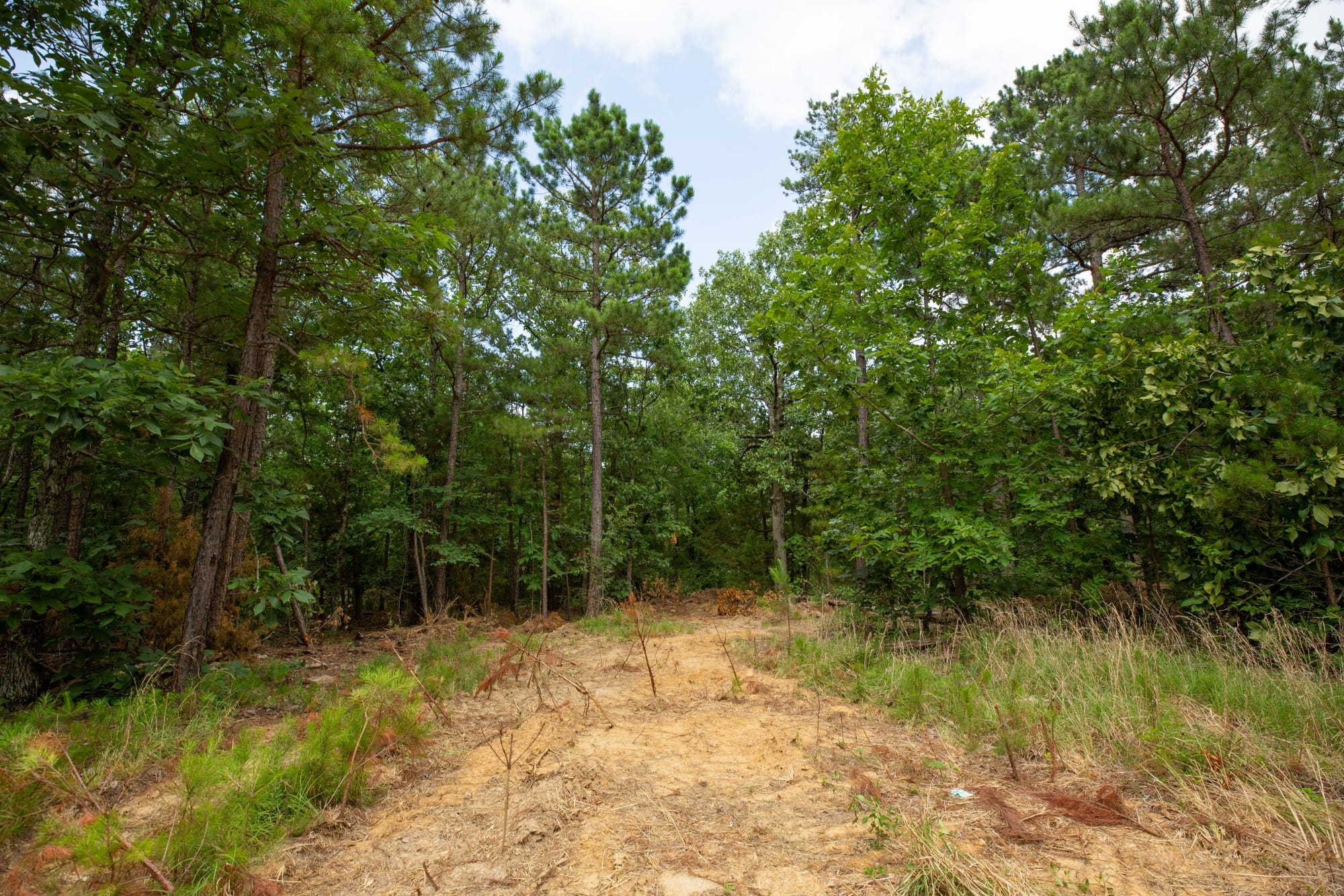 Eagle’s Nest Tract 44 photo 7