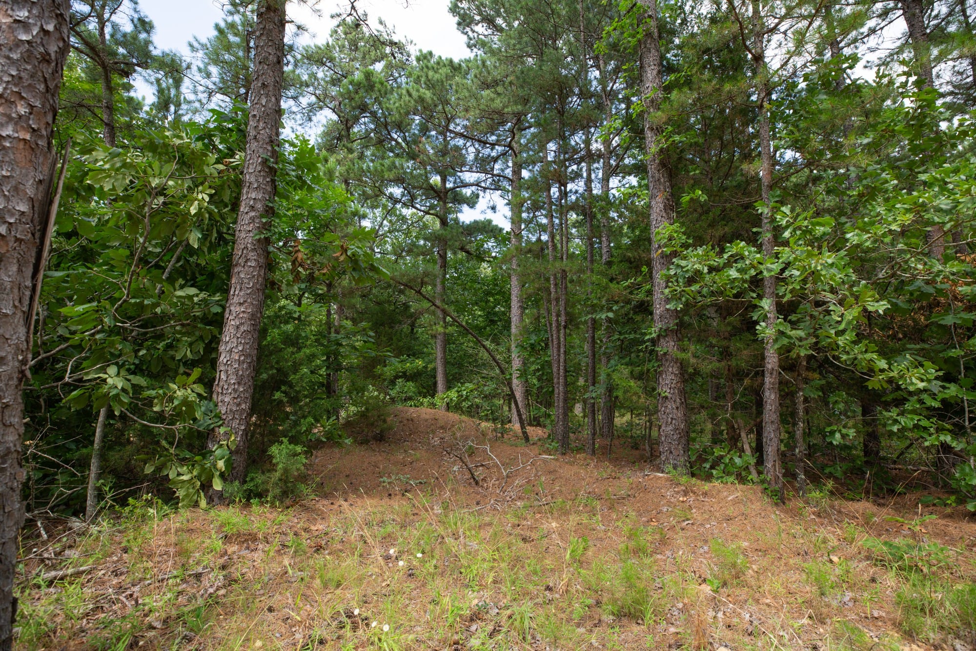 Eagle’s Nest Tract 44 photo 6