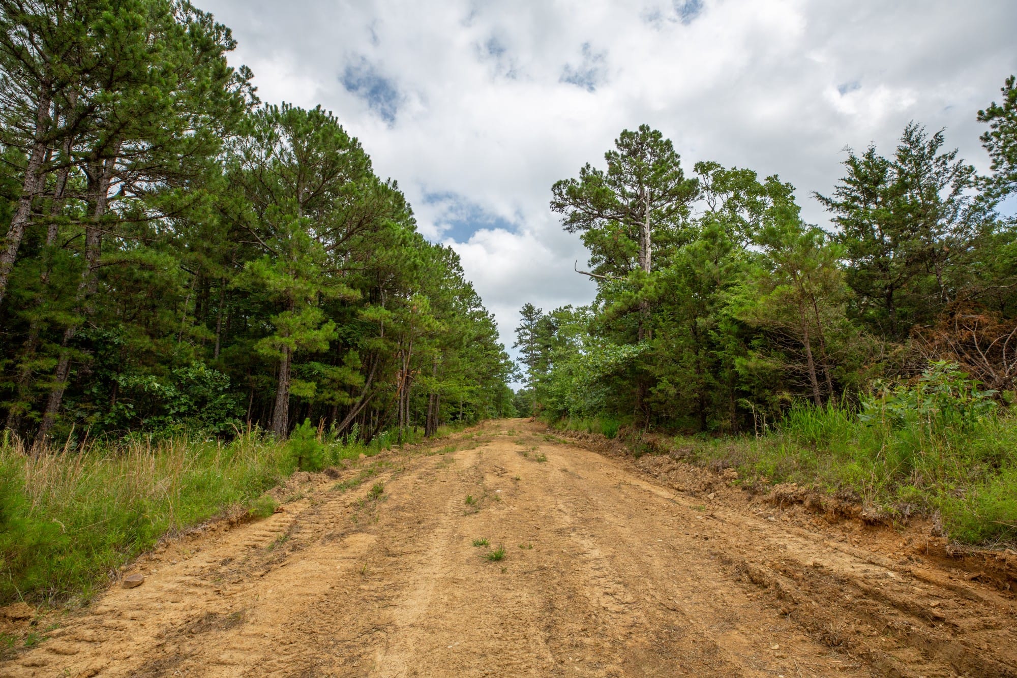 Eagle’s Nest Tract 44 photo 9