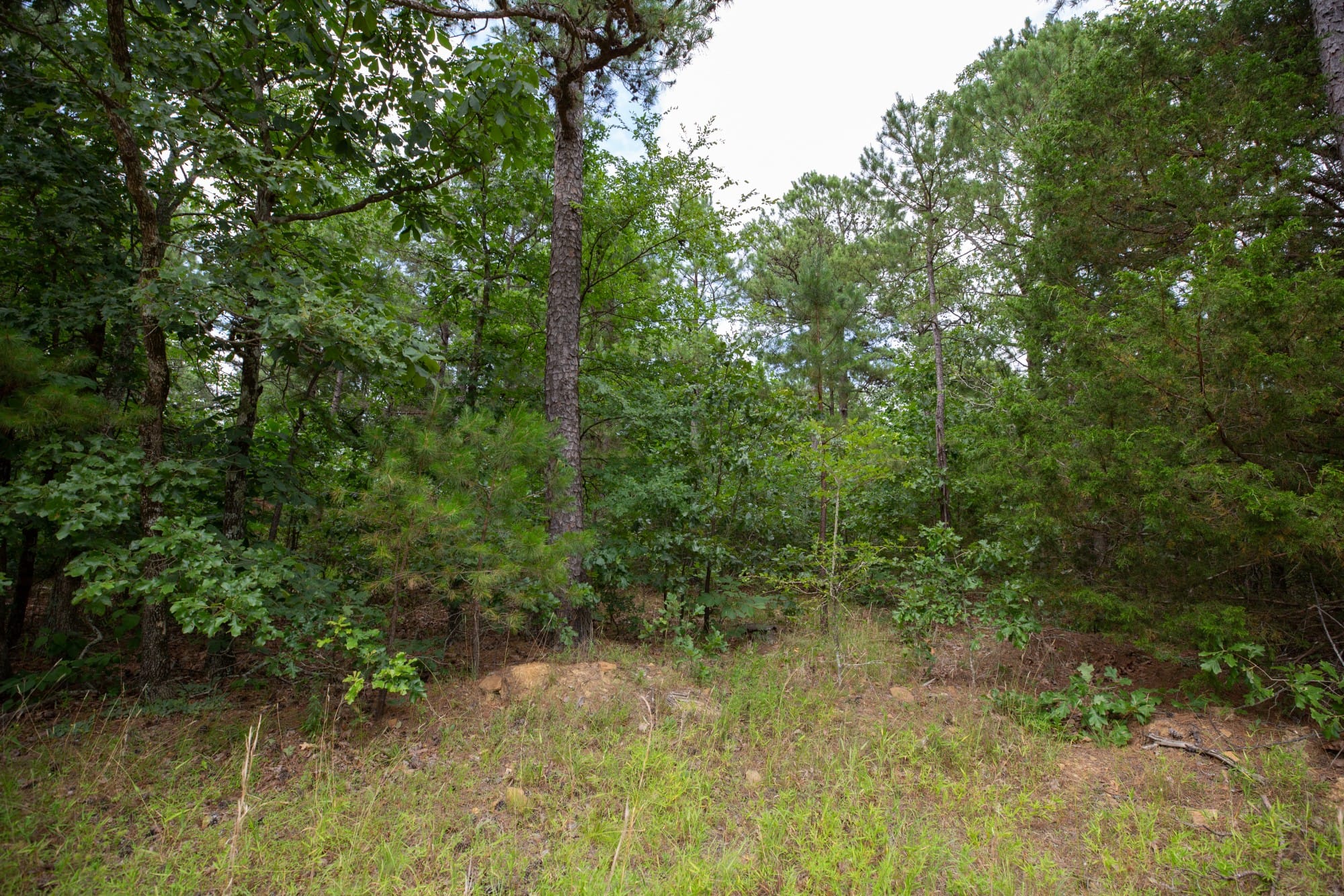 Eagle’s Nest Tract 44 photo 12