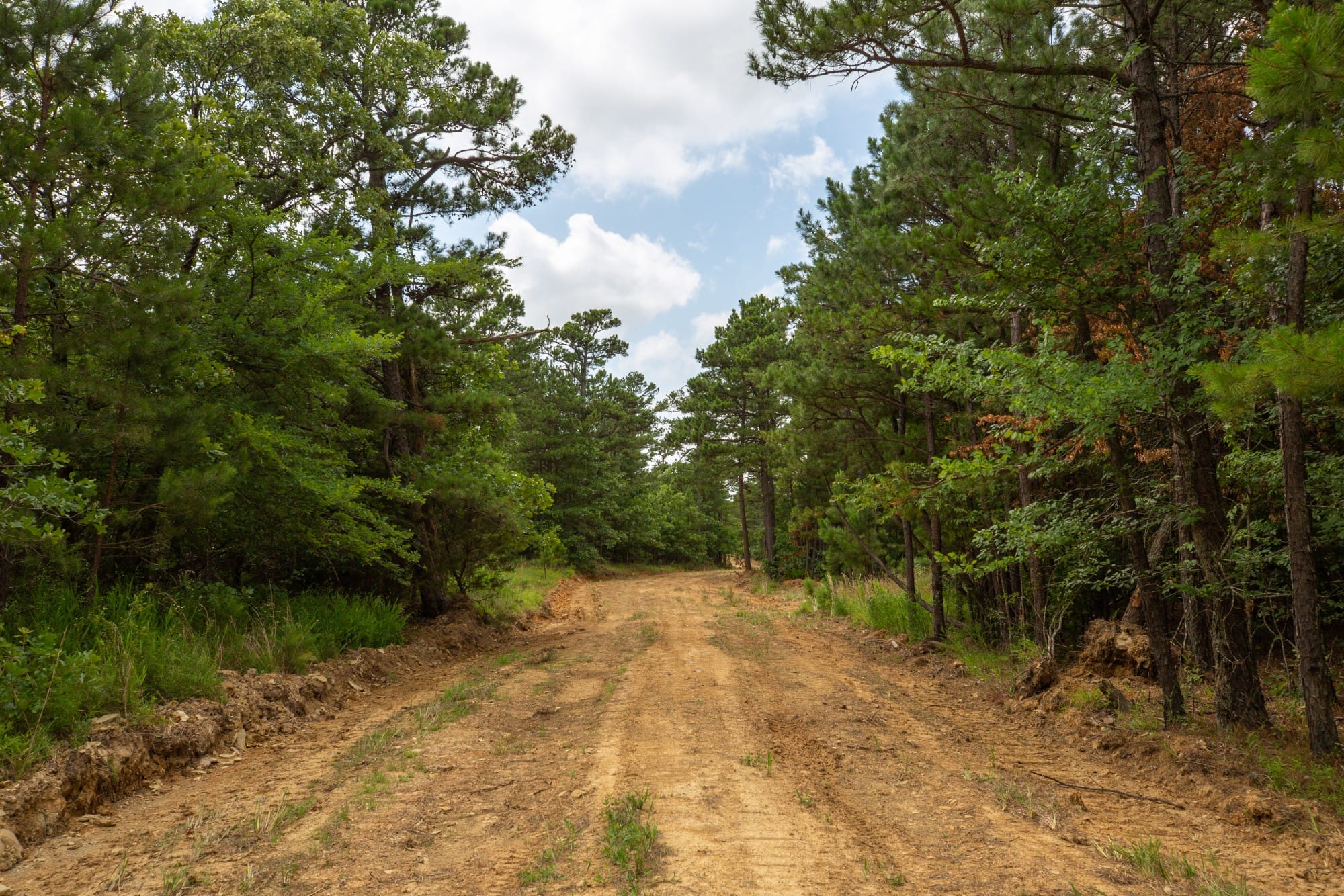 Eagle’s Nest Tract 44 photo 11