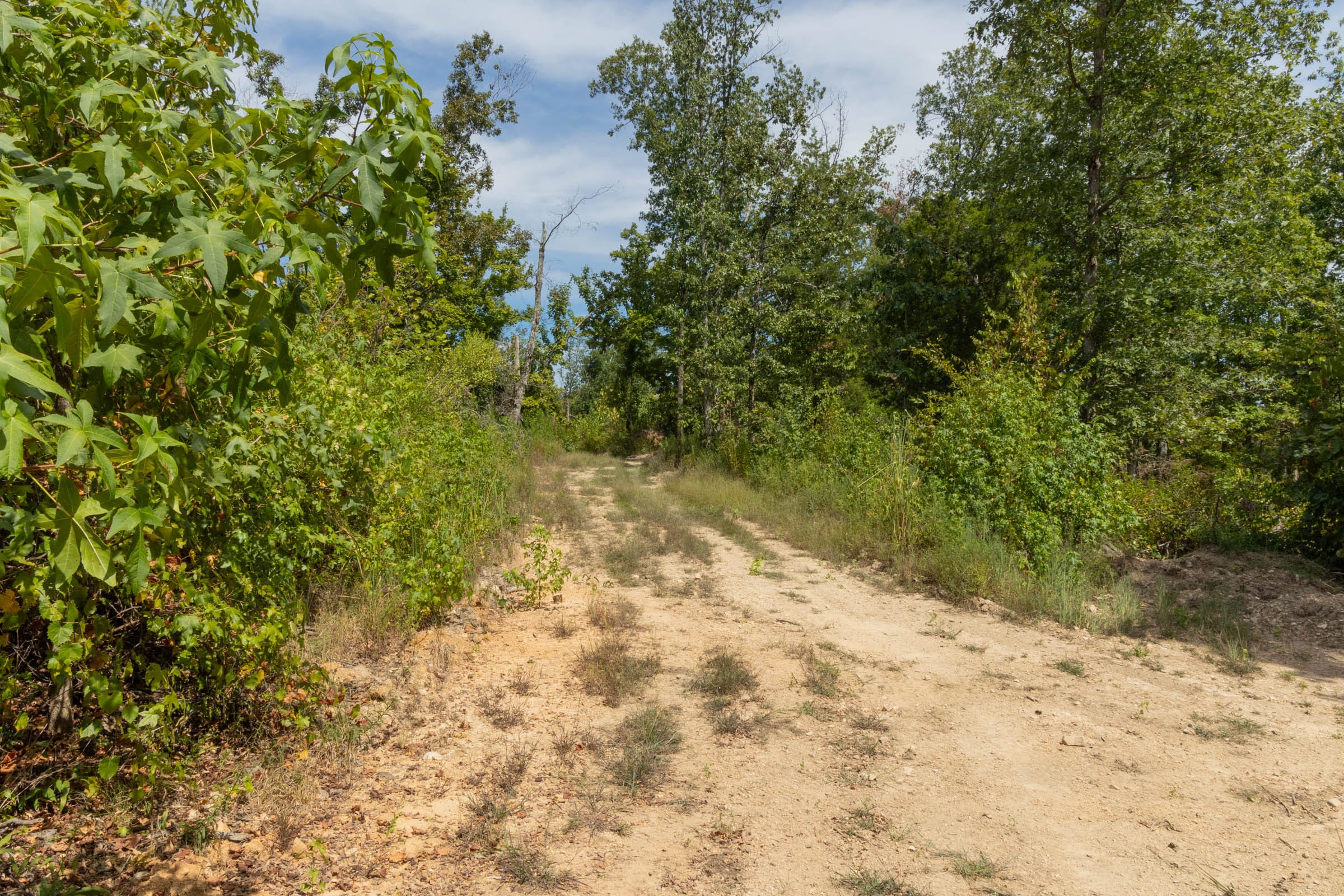 Big White Oak Tract 77 photo 4
