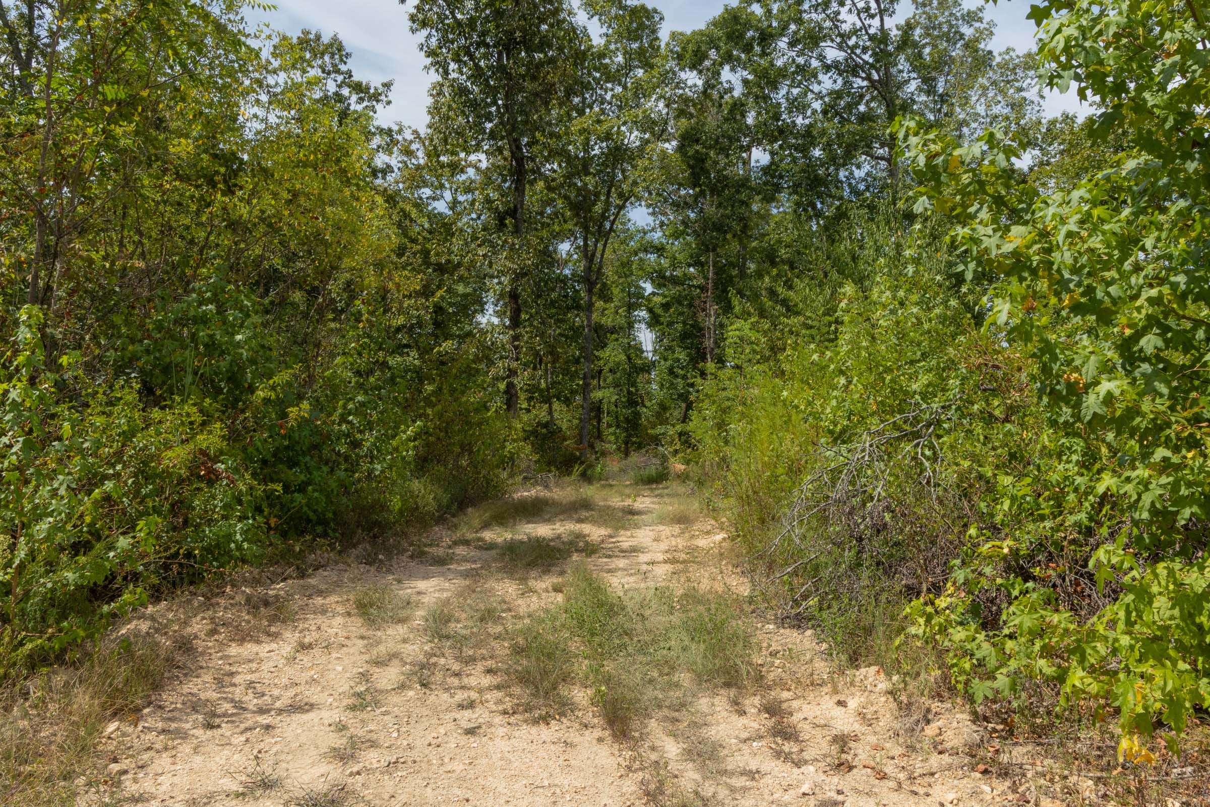 Big White Oak Tract 77 photo 1