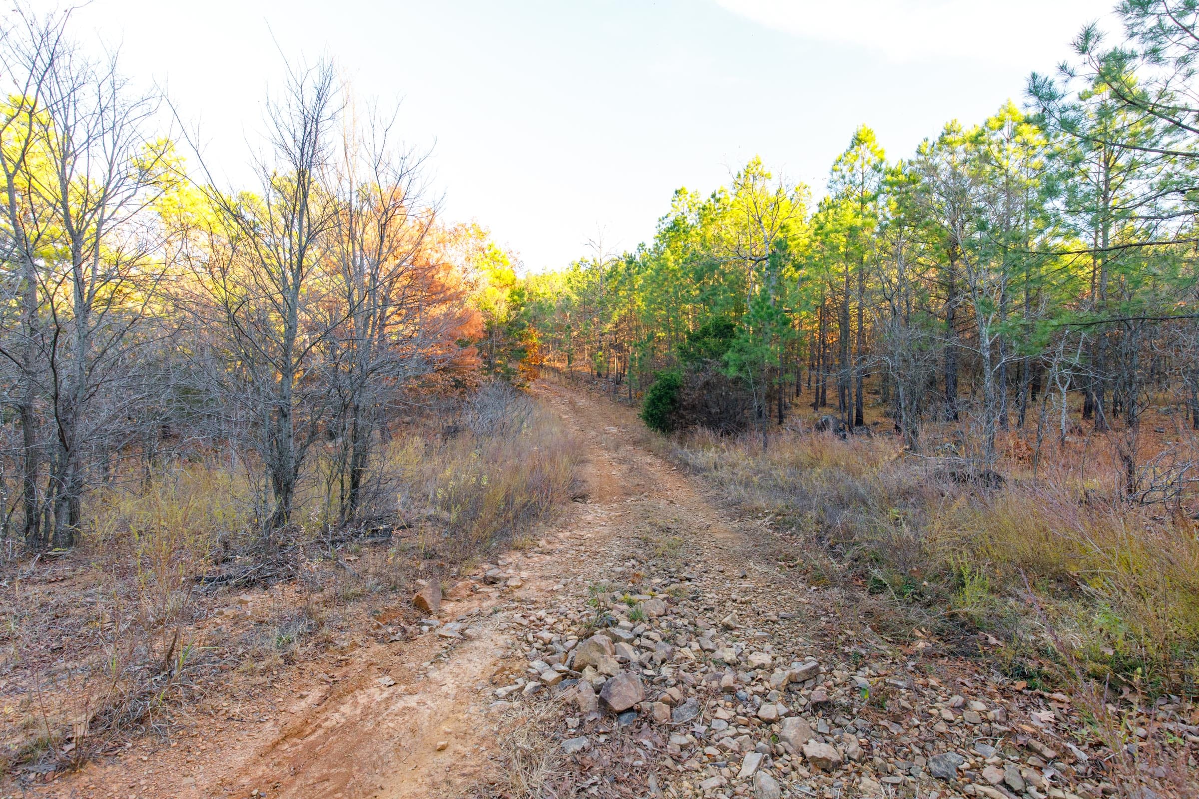 Stone Bridge Phase II Tract 119 photo 1