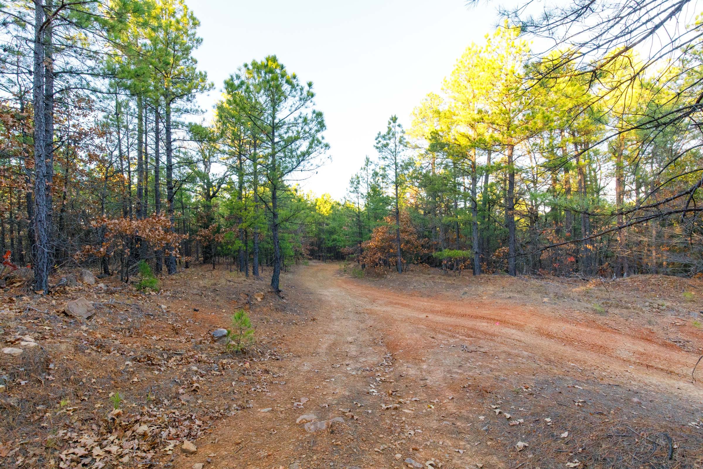 Stone Bridge Phase II Tract 119 photo 7