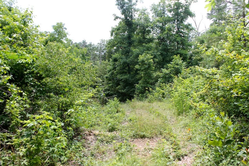 Green Mountain Ranch Tract 41 photo 1