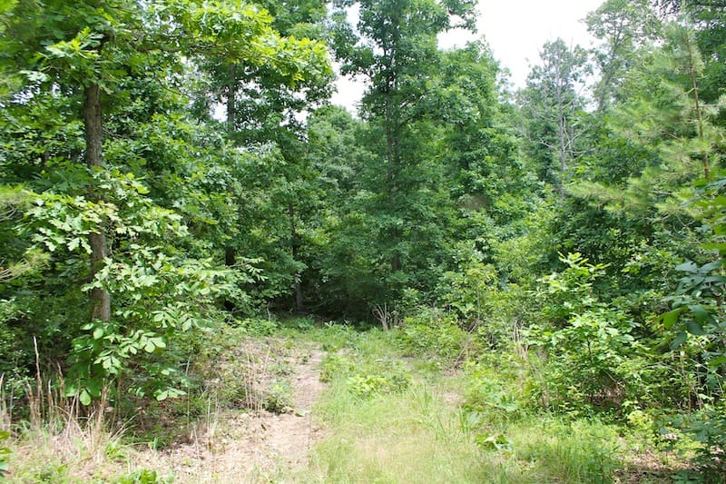 Green Mountain Ranch Tract 41 photo 4