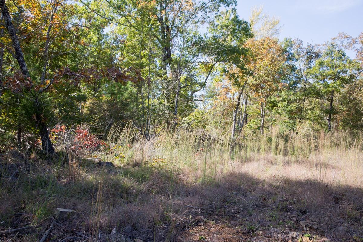 Stone Creek Phase I Tract 149 photo 3