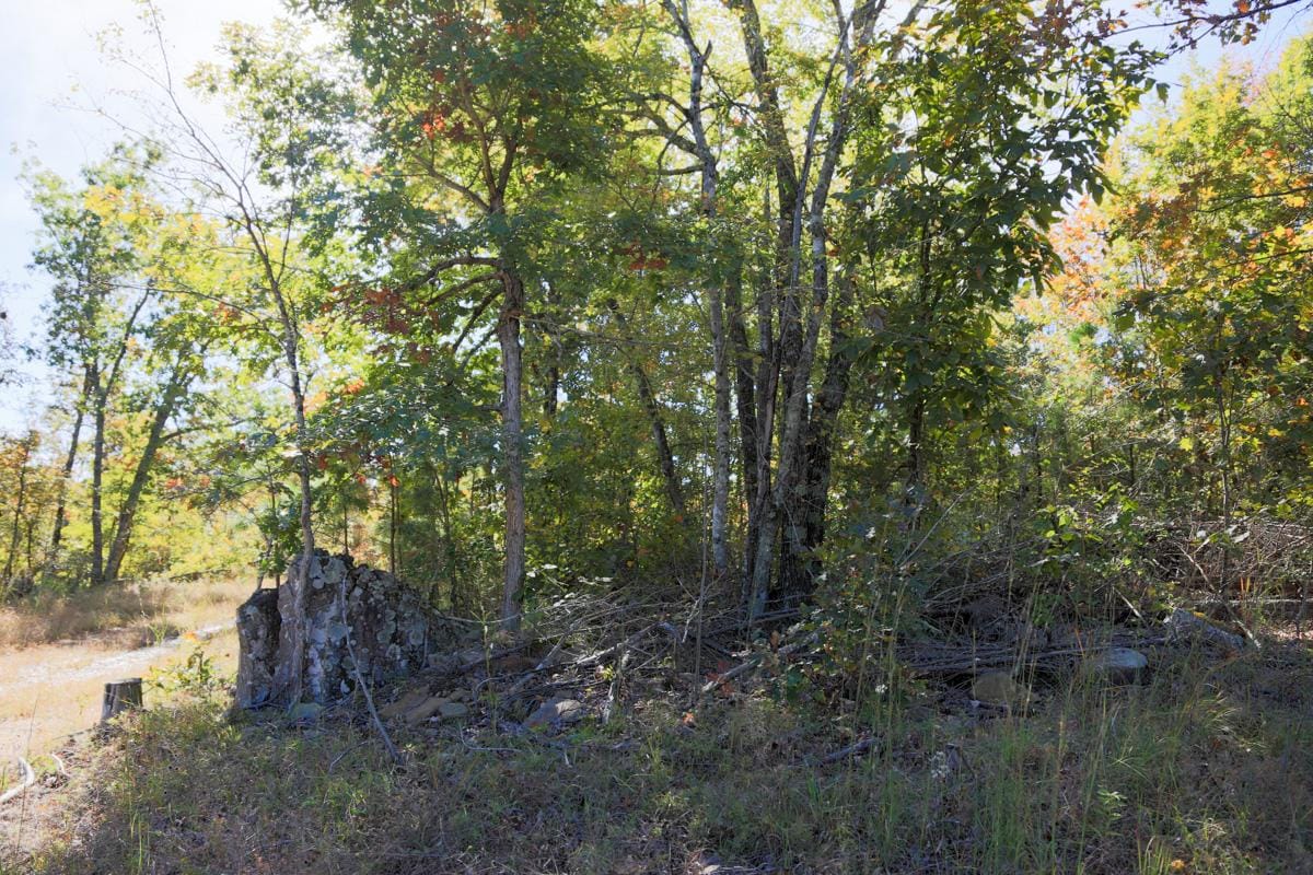 Stone Creek Phase I Tract 149 photo 4