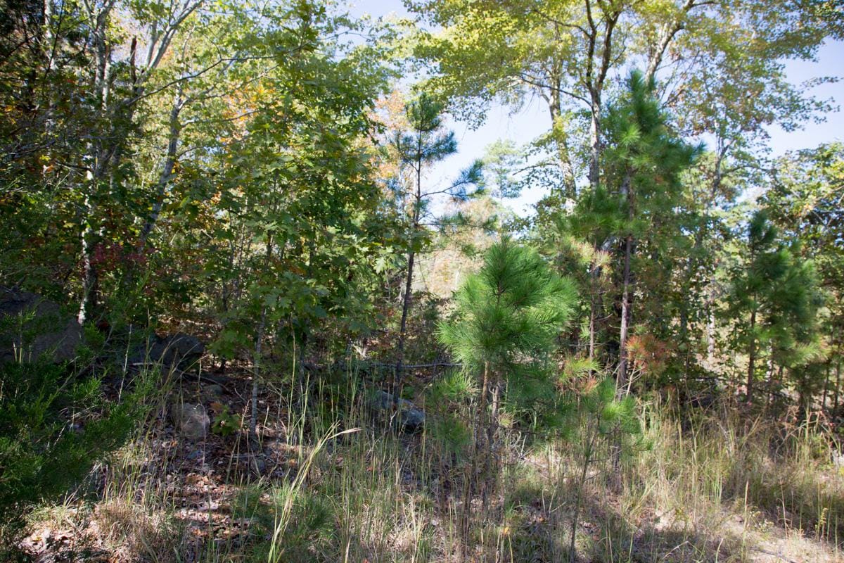 Stone Creek Phase I Tract 149 photo 6
