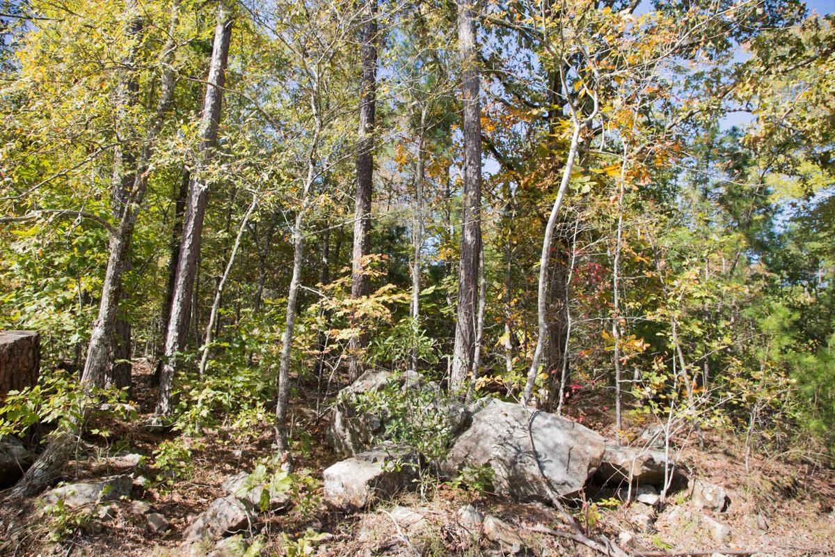Stone Creek Phase I Tract 149 photo 7
