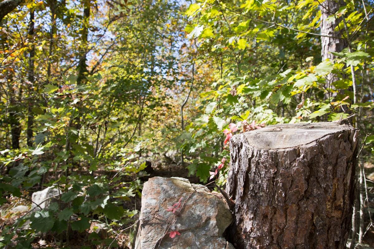 Stone Creek Phase I Tract 149 photo 8
